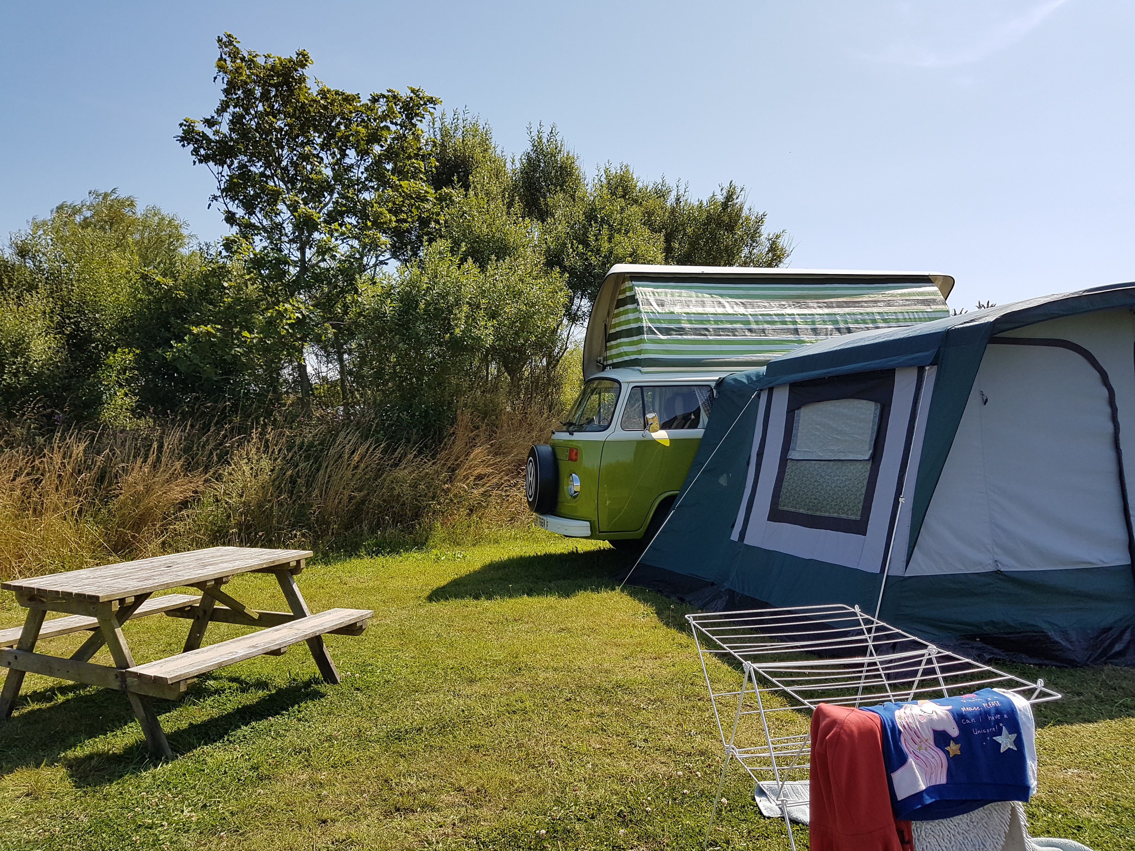 Grass pitch - campervan field