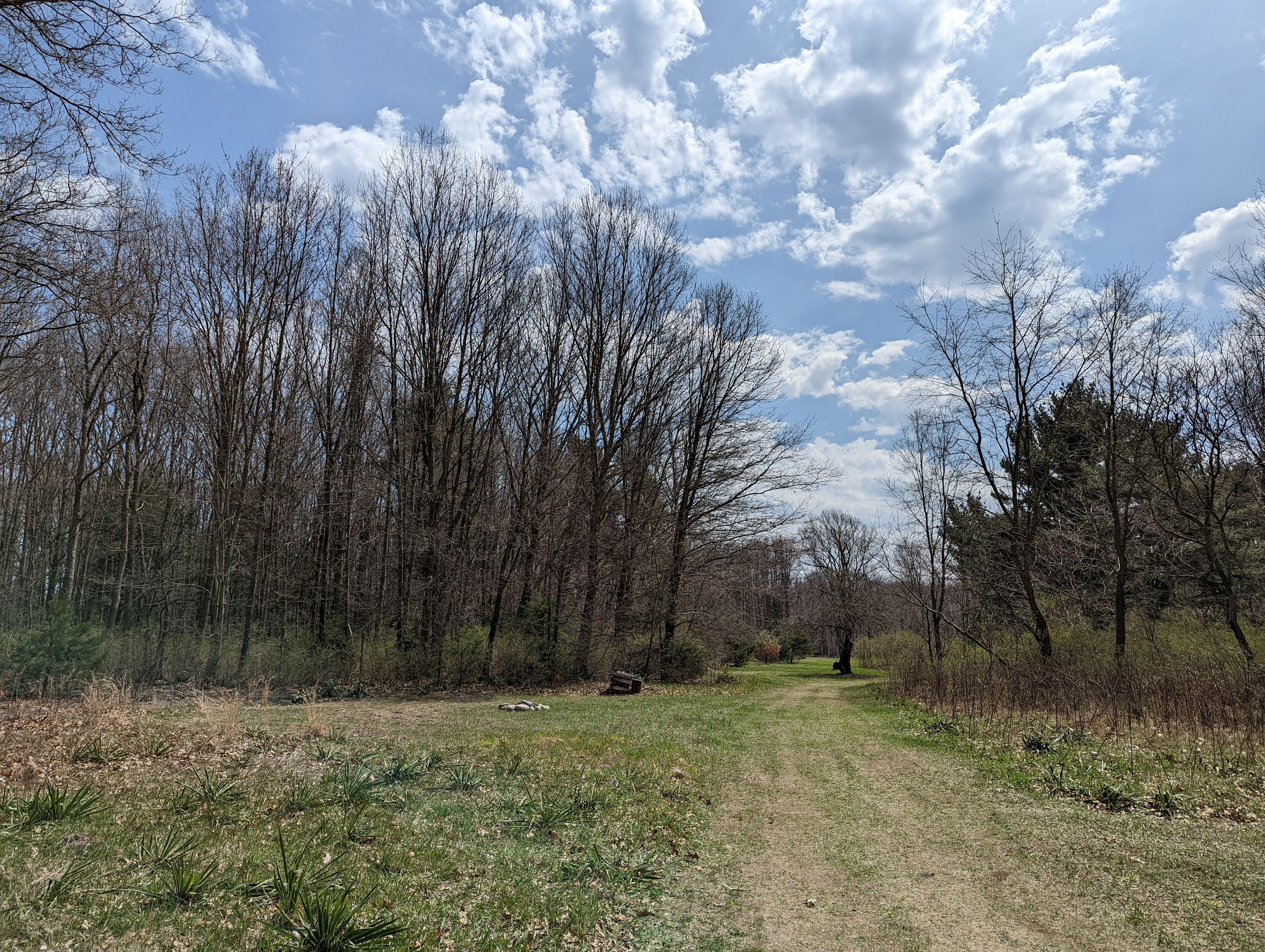 Side Drive Camp