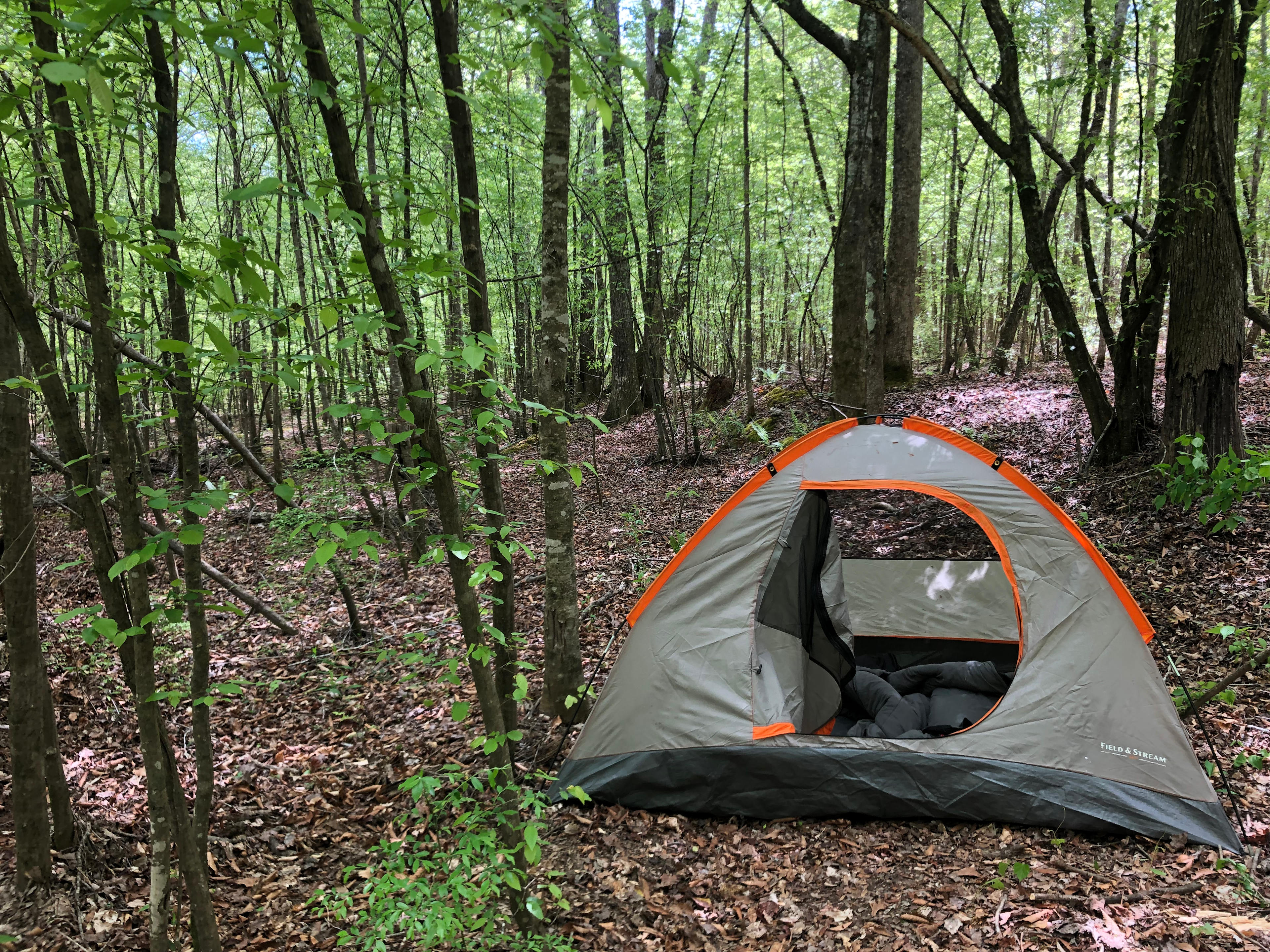 The Tallapoosa Hideaway: Wilderness Retreat