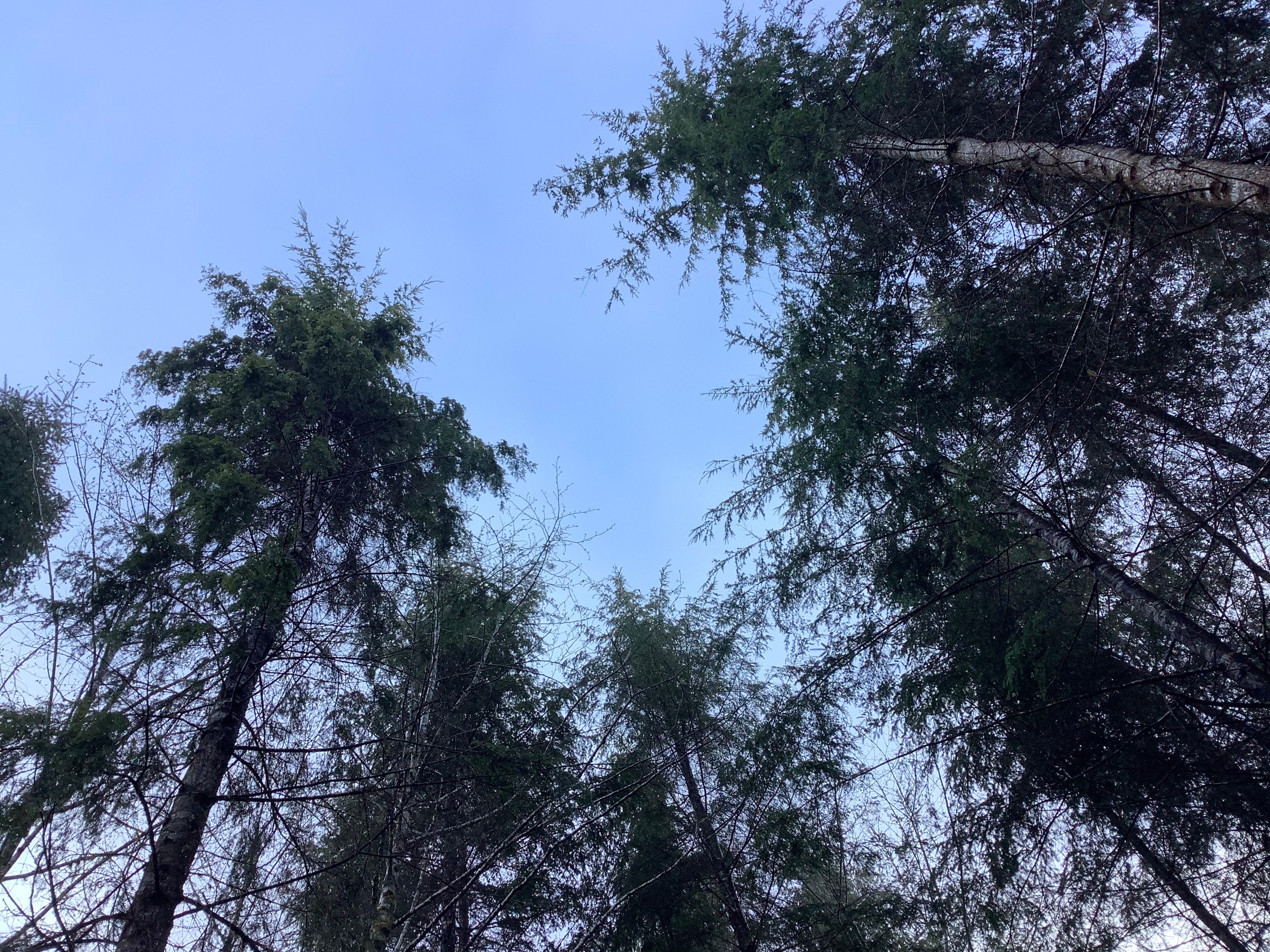 Olympic Adventure Campground
