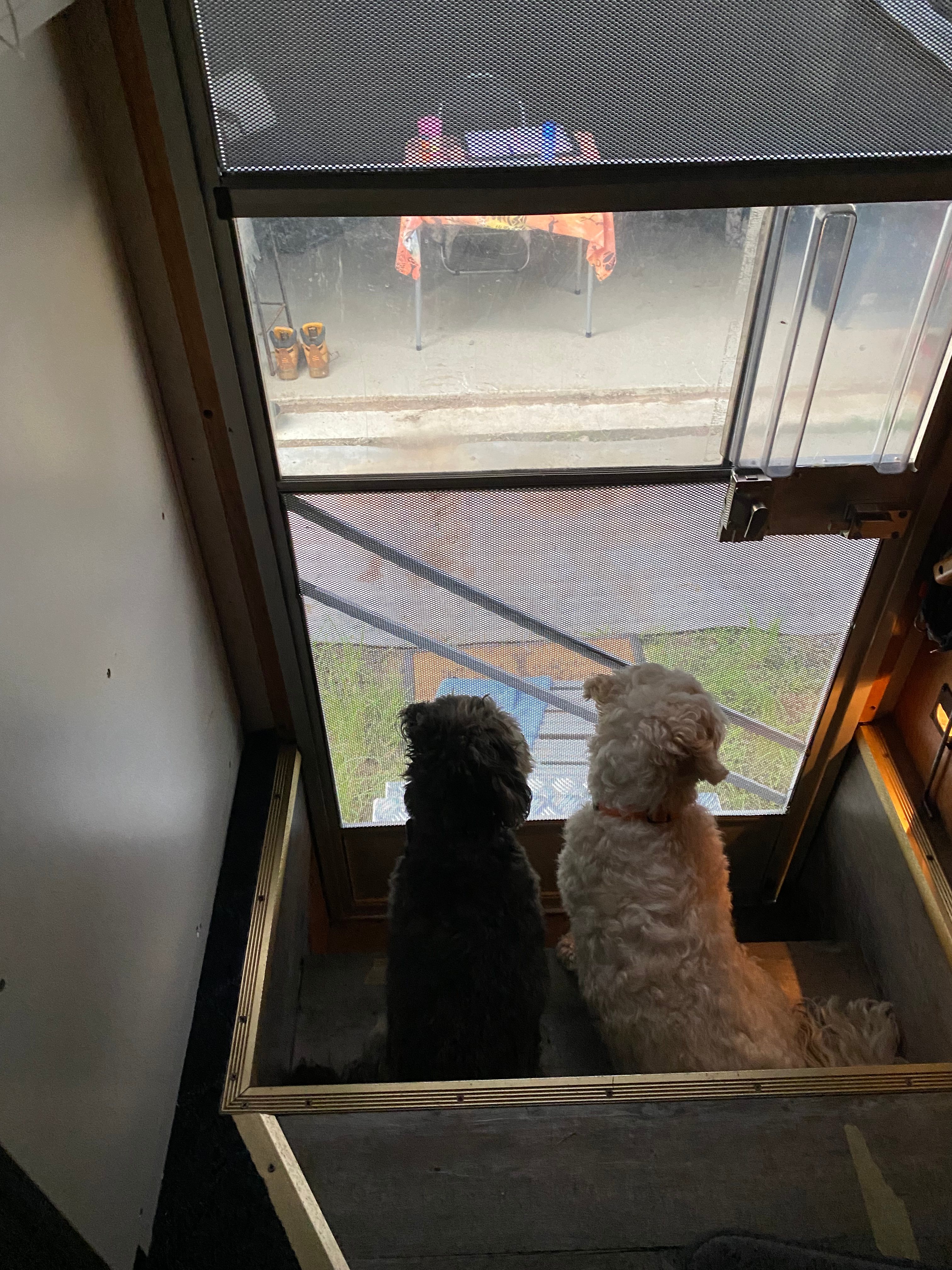 Mt Nellinda Campsite