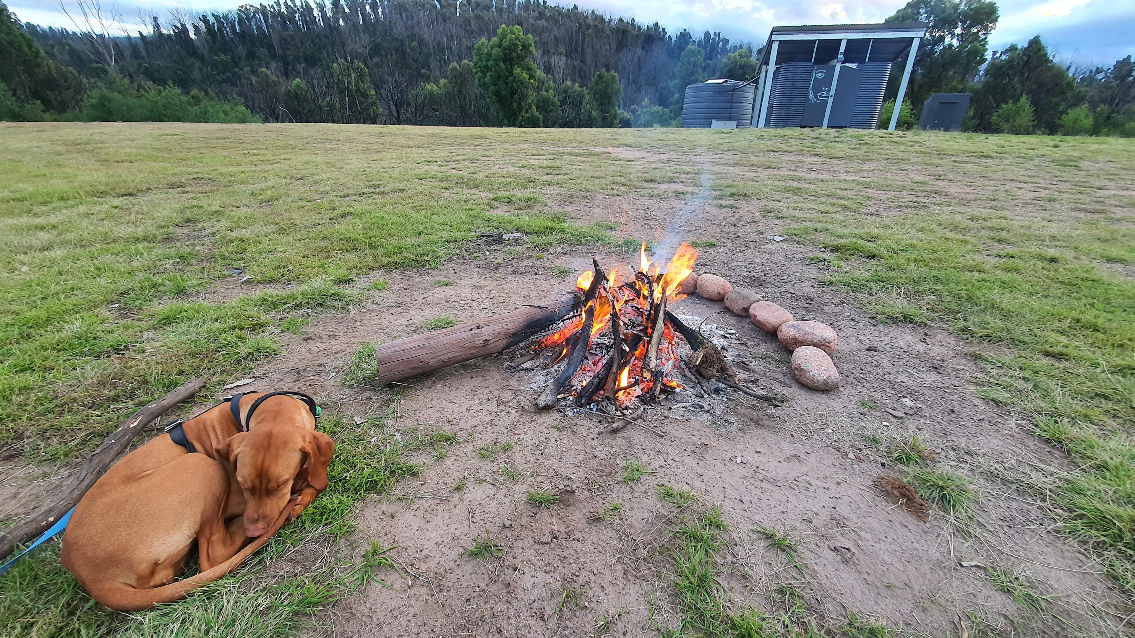 Nerrigundah Tuross River Camping