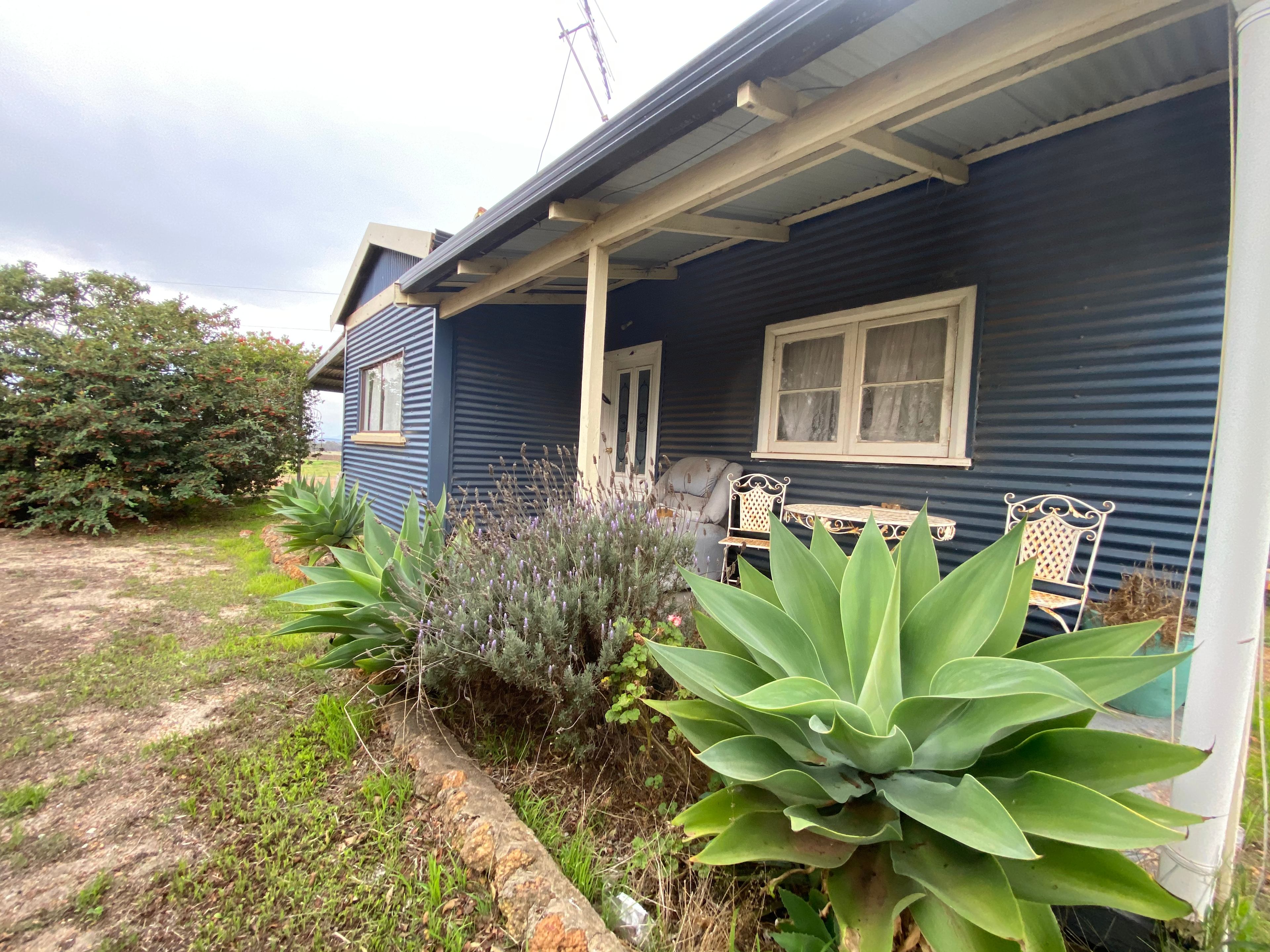 “Clear View” Farmstay and Camping