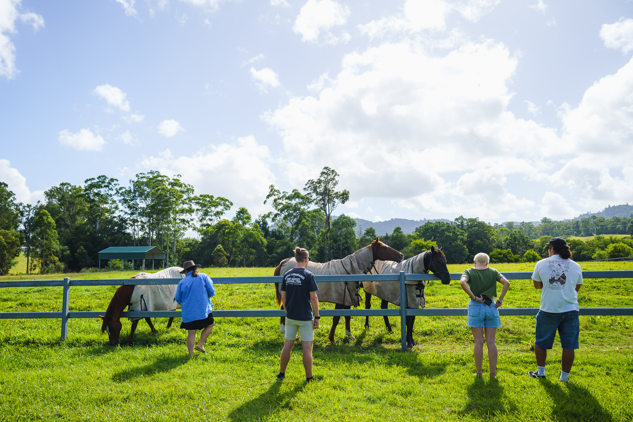 Some Brisbane-based HipCampers enjoying some morning sun with Trish's horses.
Instagram: @jarodimaged