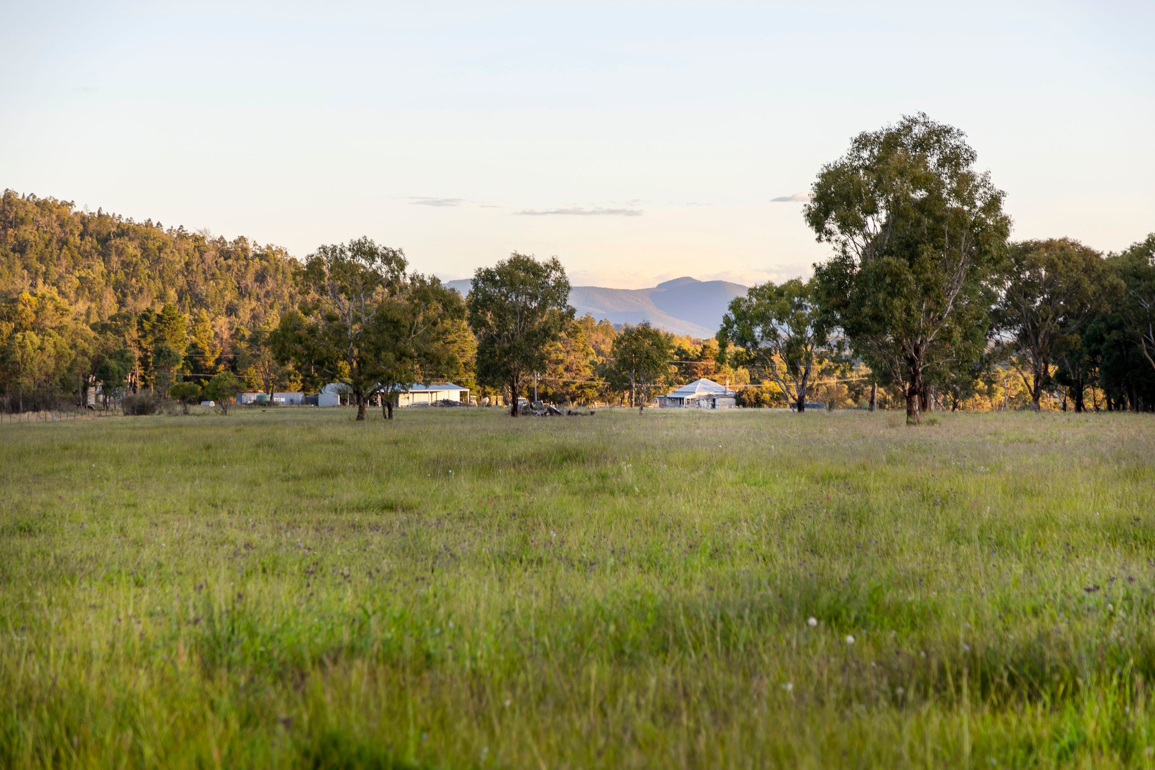 View of the farm field with settler's cottage in the distance.
