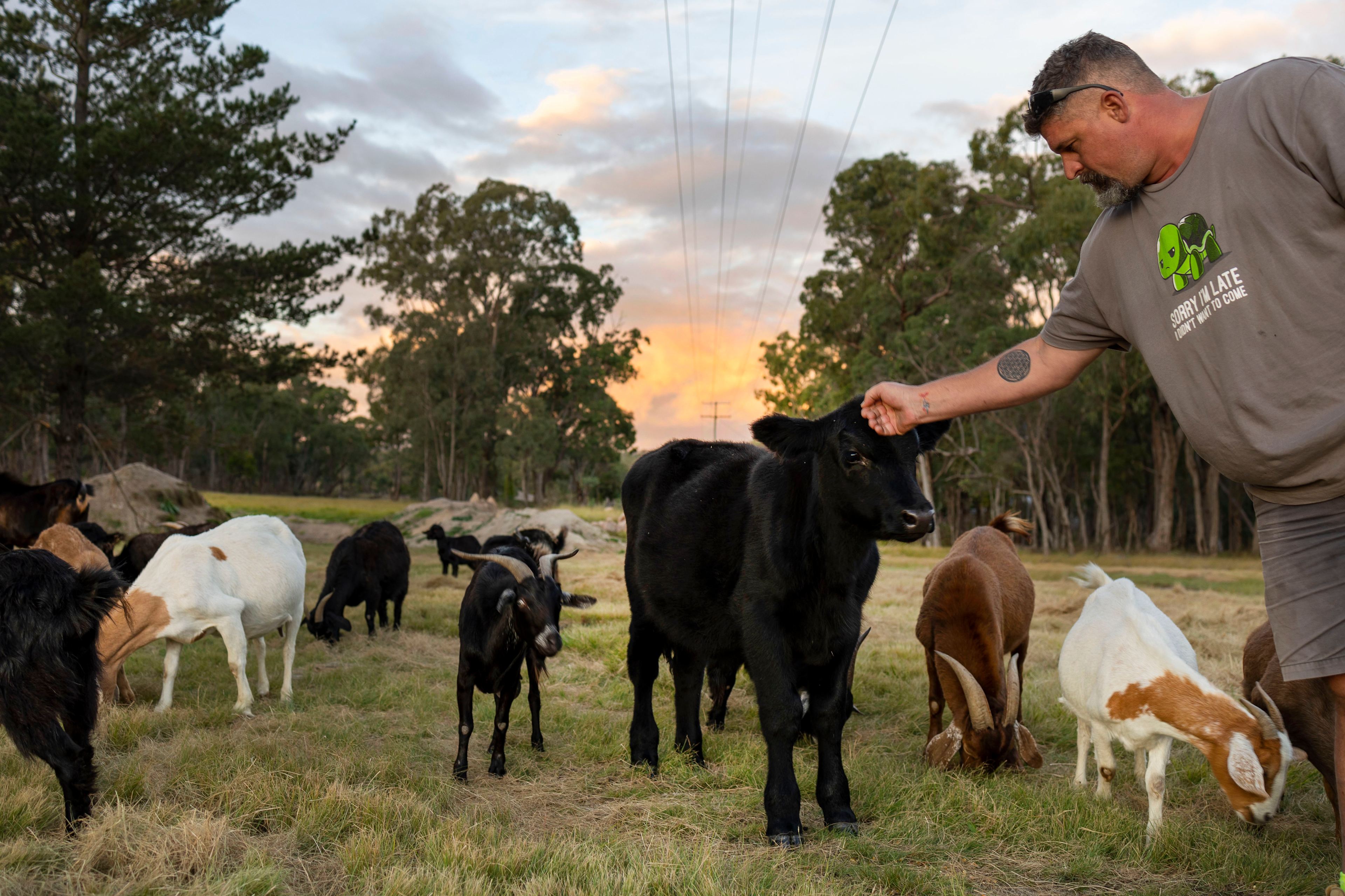 Guffy Acres Off-Grid Farm
