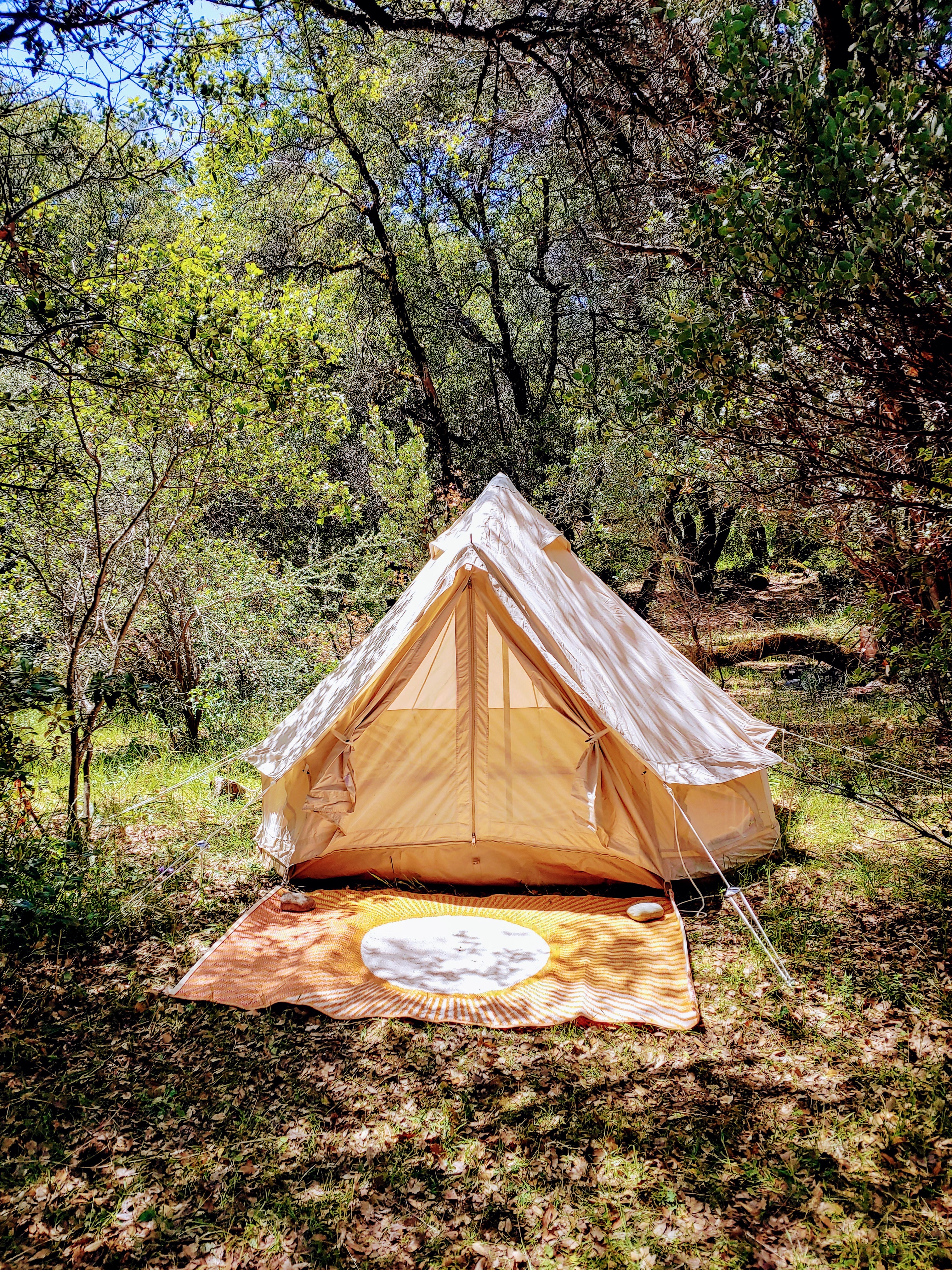 The faery forest belltent.