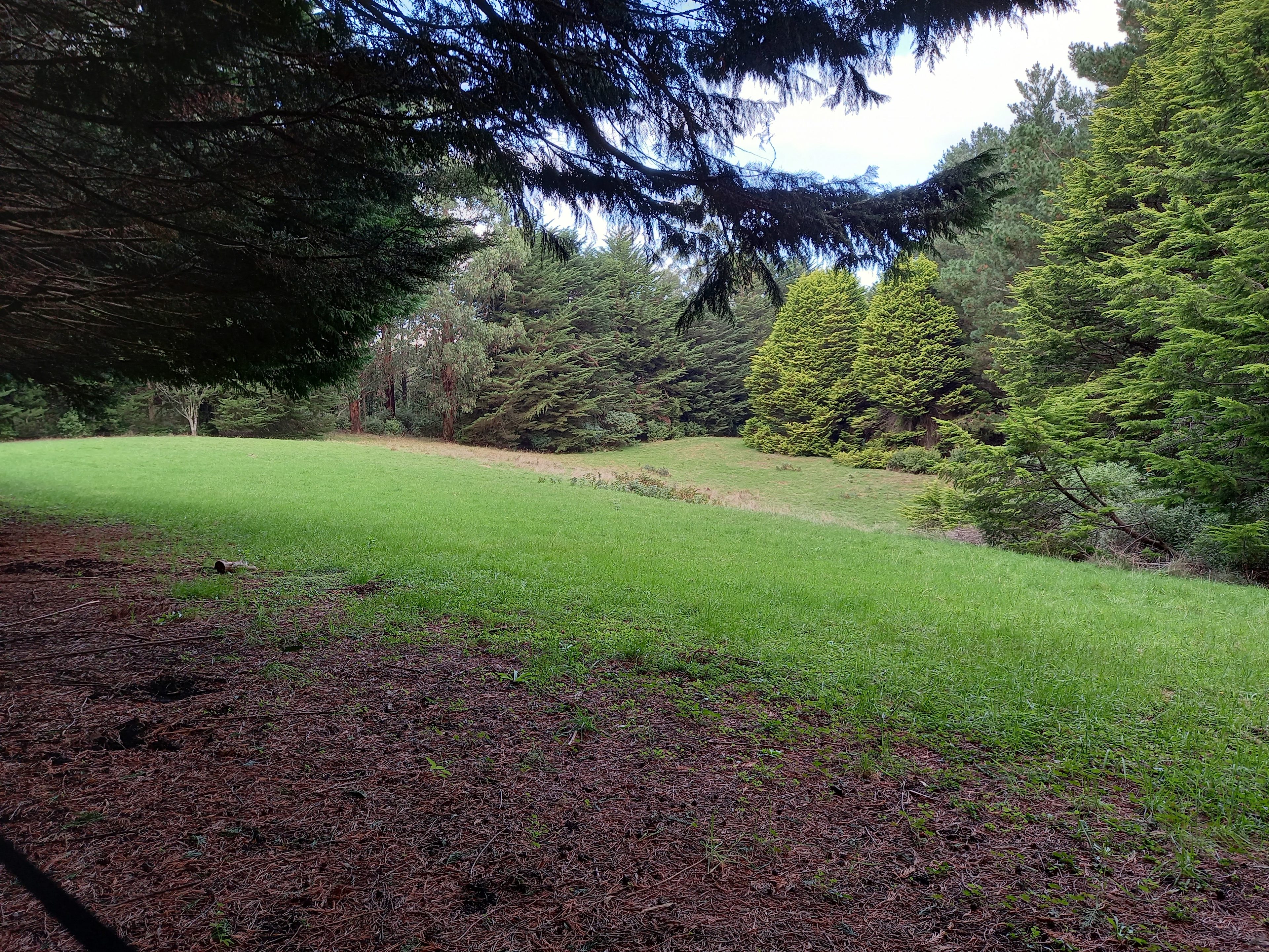 Waldheim - Our Home in the Forest