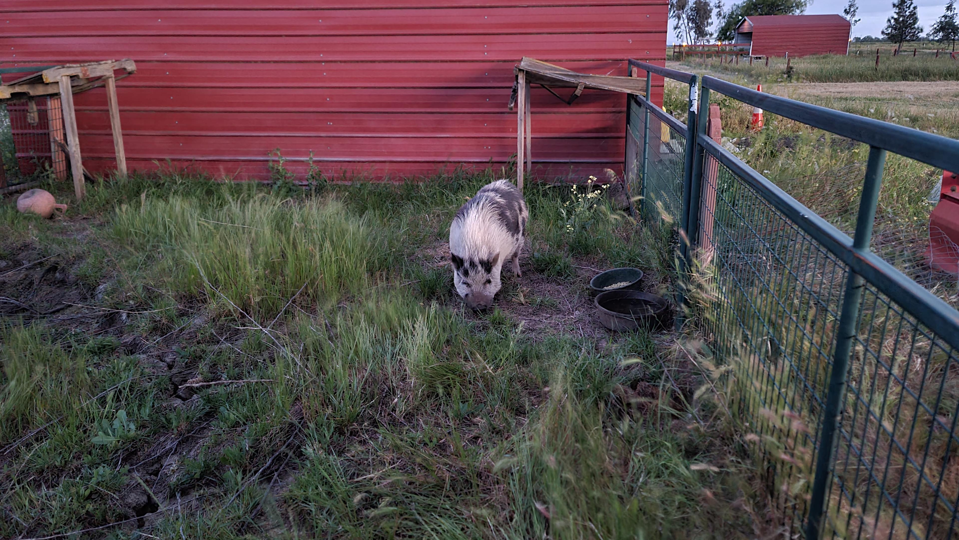 Once Upon a Ranch