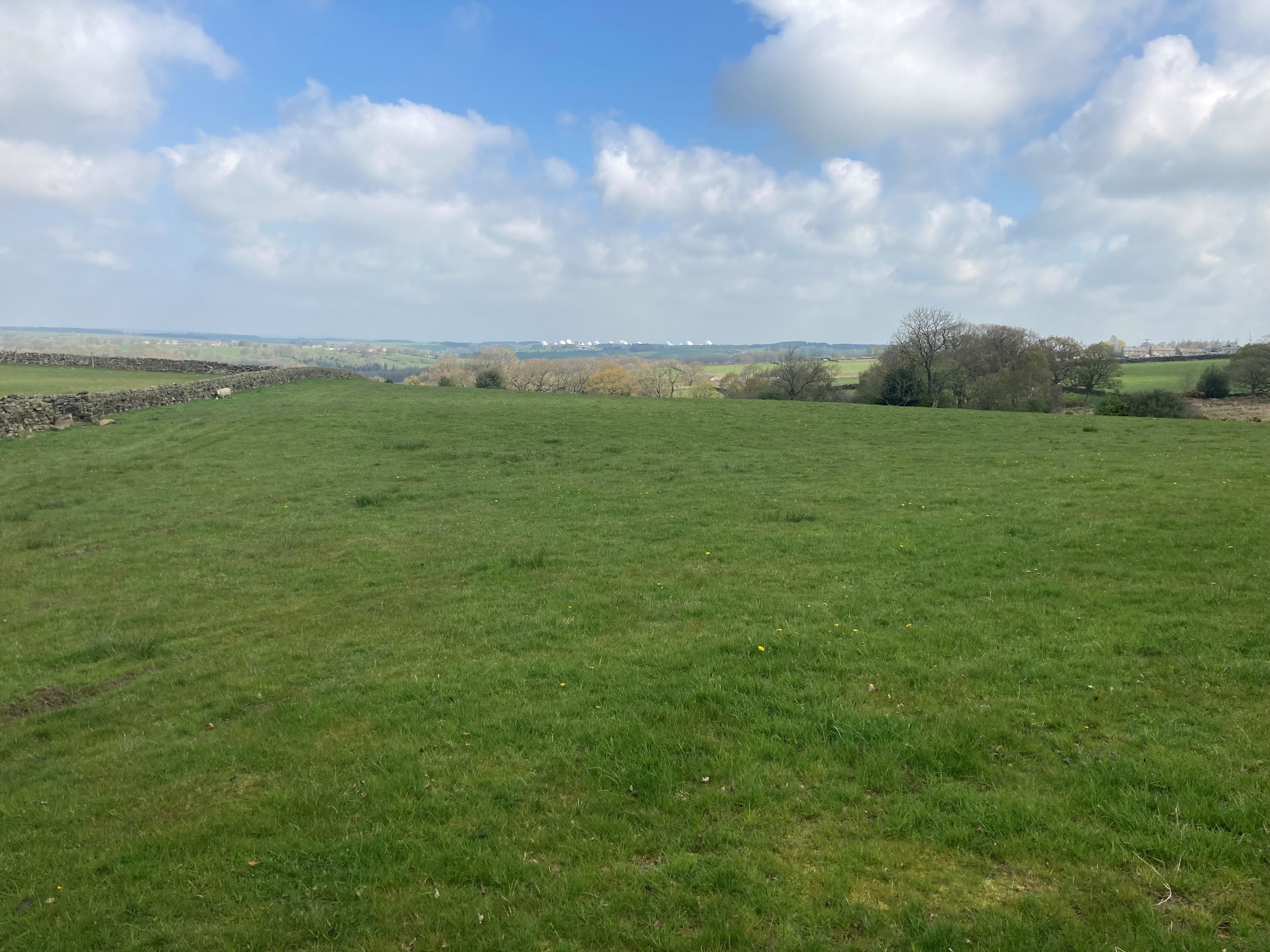 Scow Hall Farm