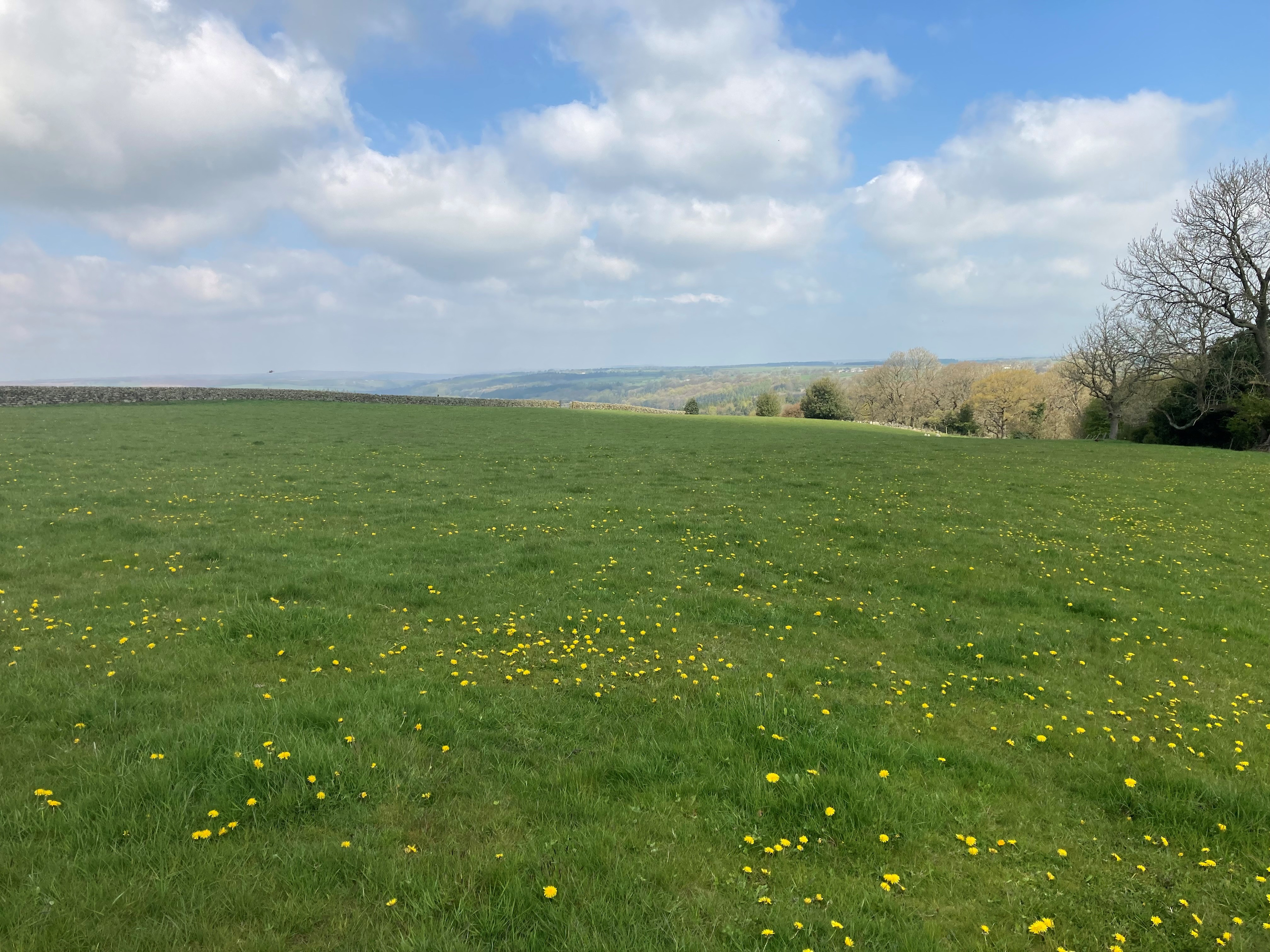Scow Hall Farm