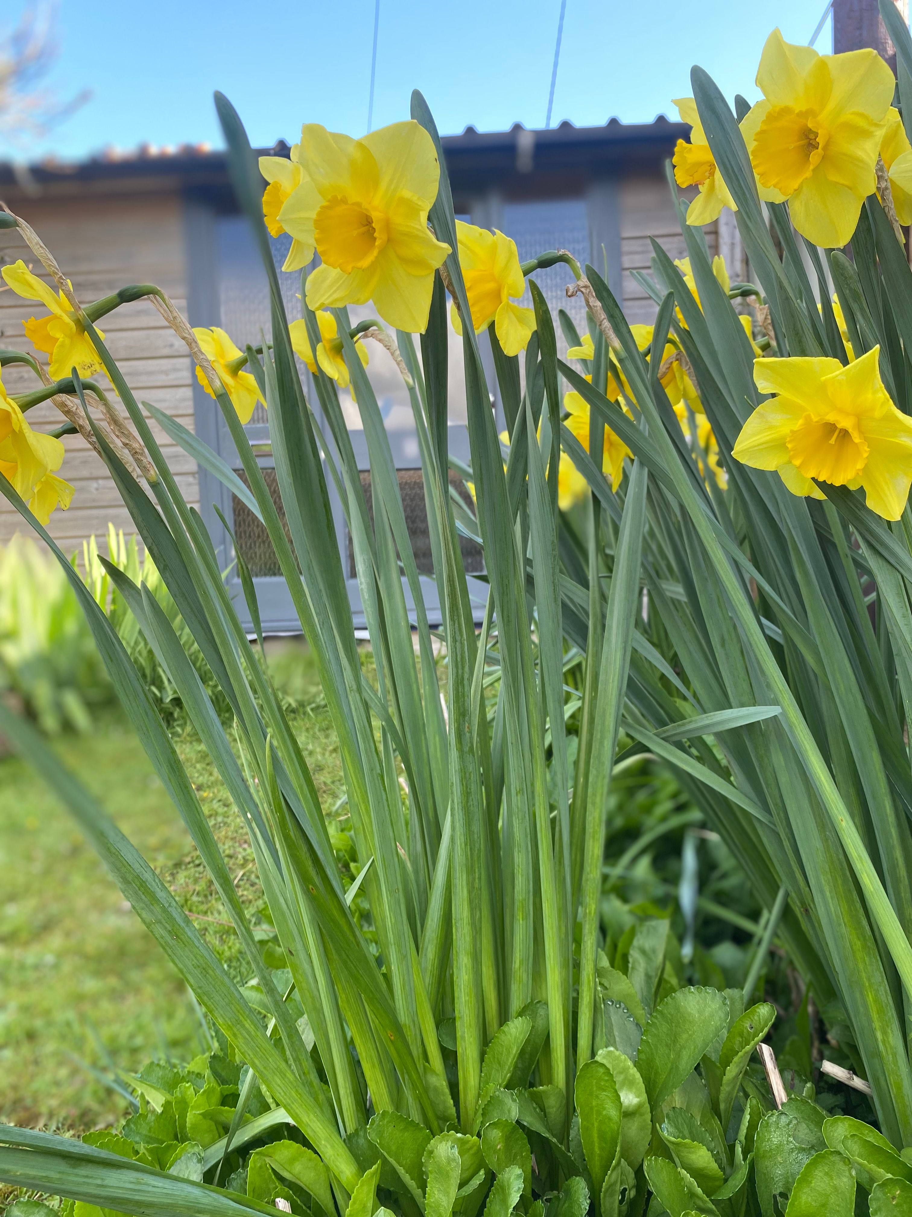 Gatcombe Park Farm Glamping