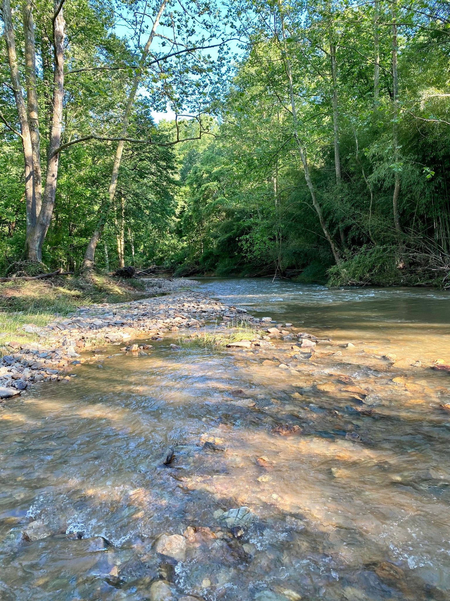 Creekside Orchard