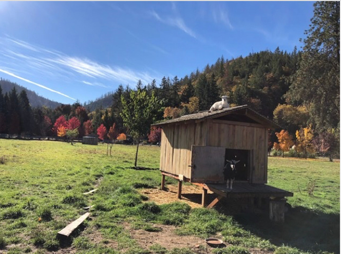 Rustic Sundance Homestead