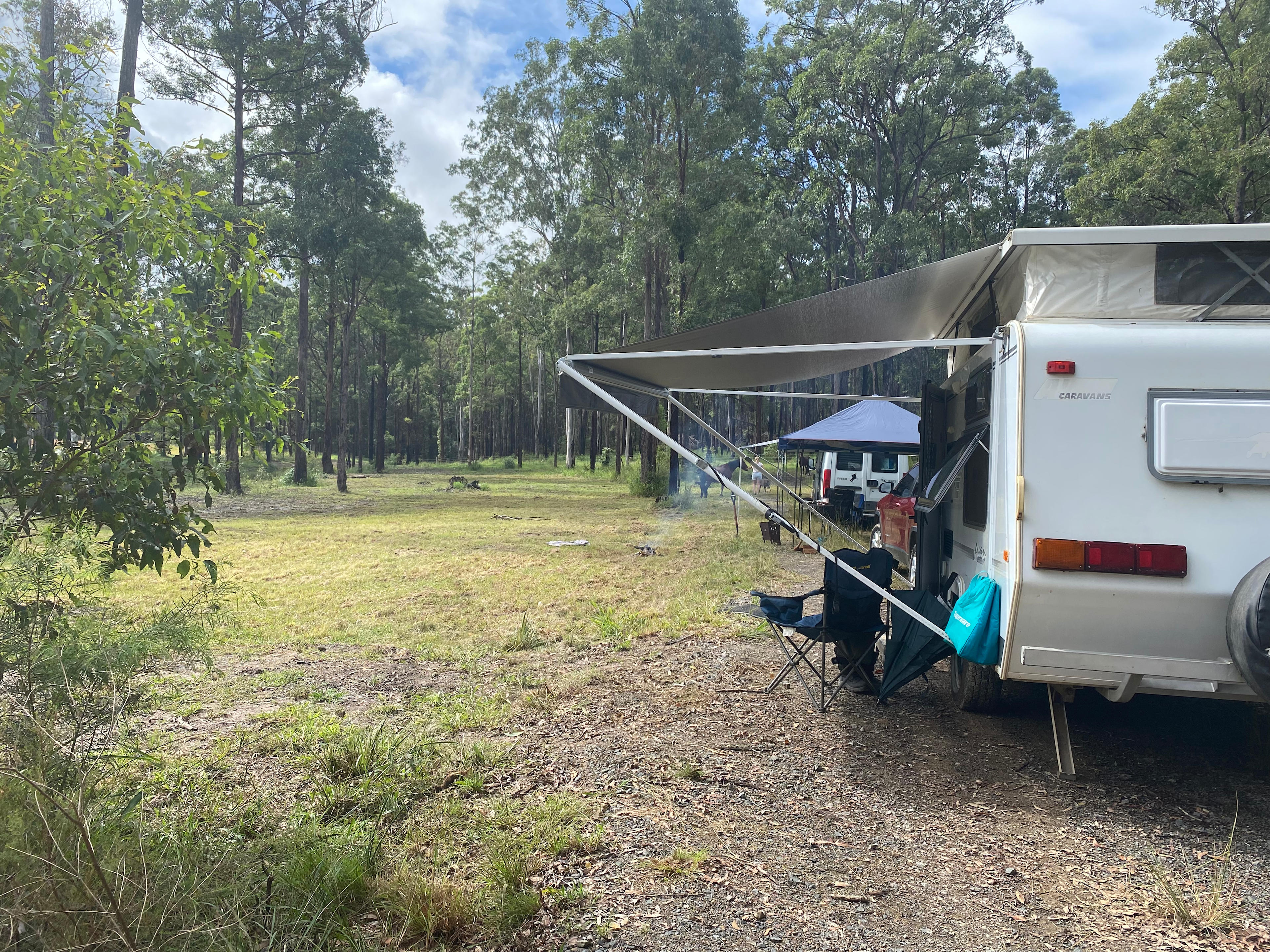 Heartwood - tranquility