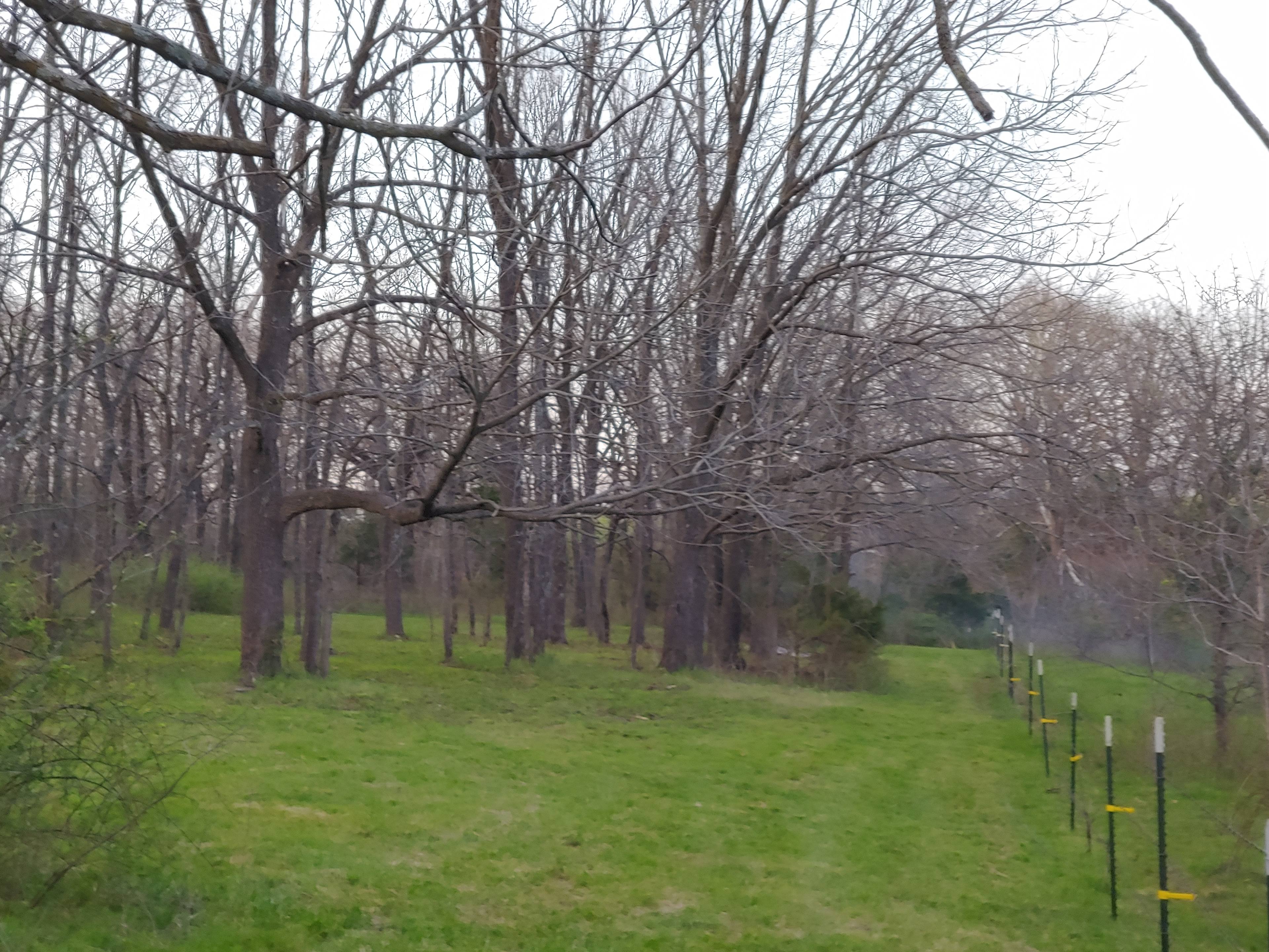 Notcho ordinary camp