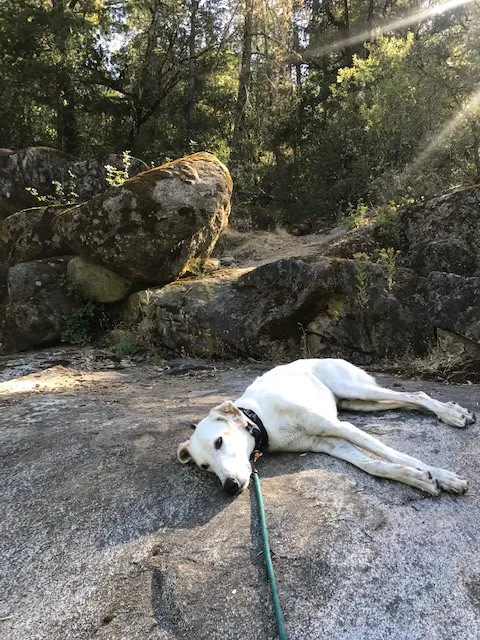 Cosumnes River Somerset Camp