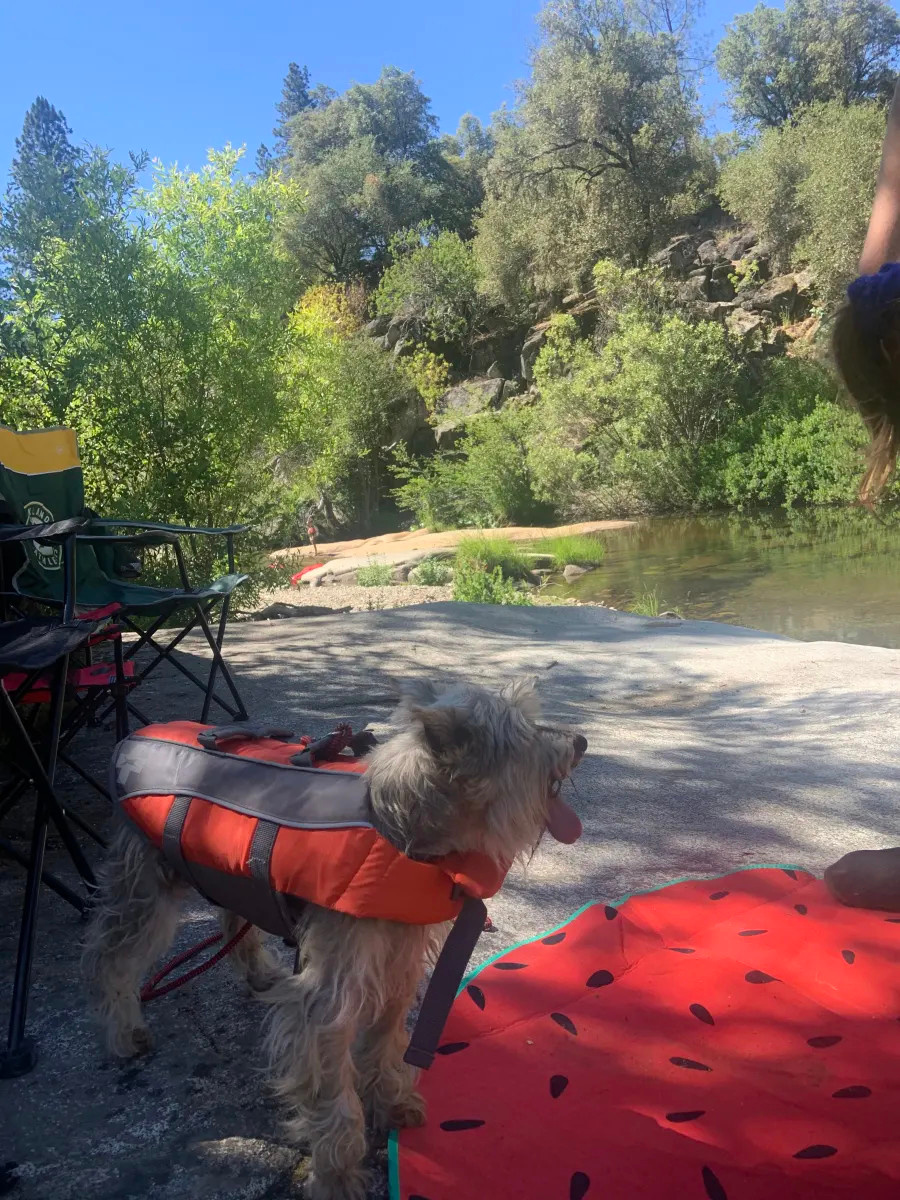 Cosumnes River Somerset Camp