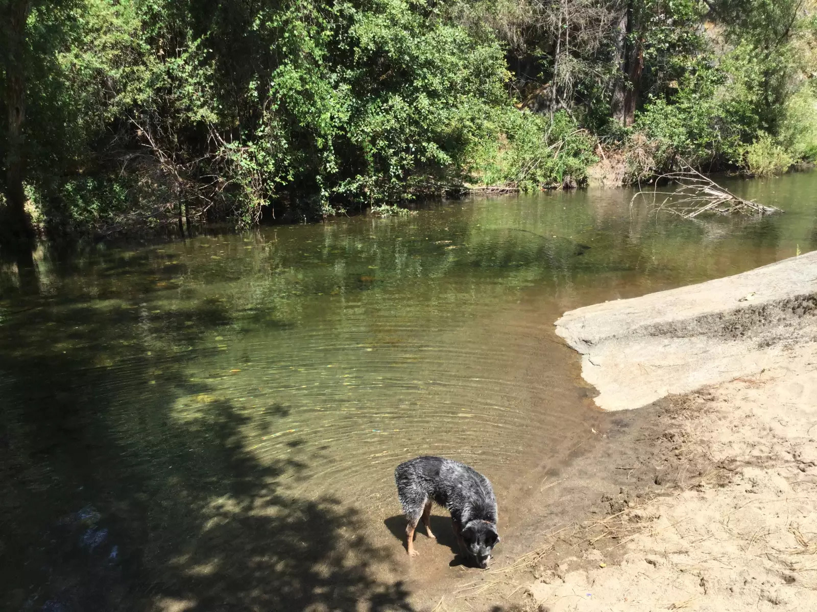 Cosumnes River Somerset Camp