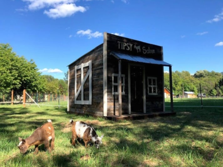 Rustic Sundance Homestead