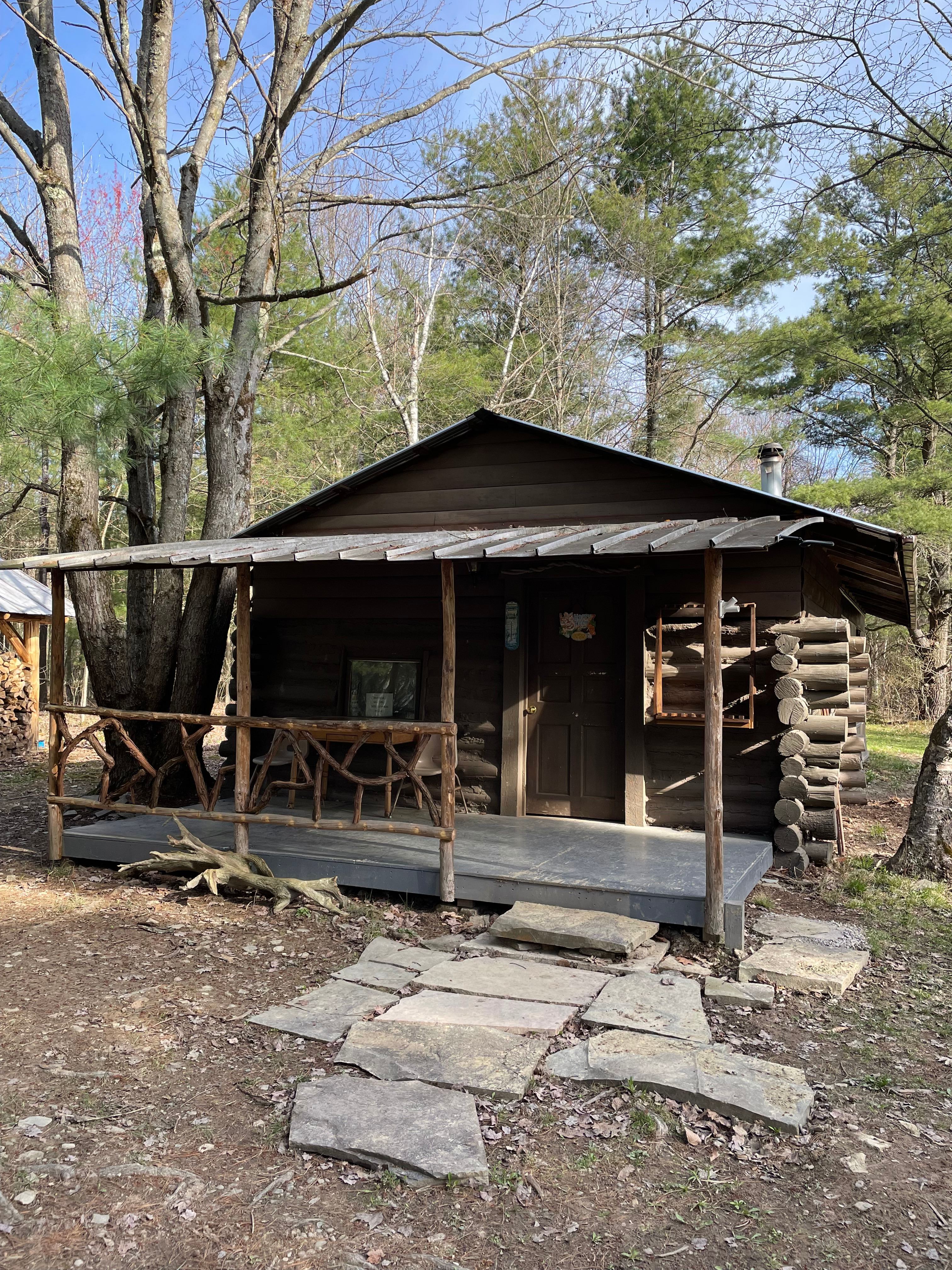 Cabin Fever