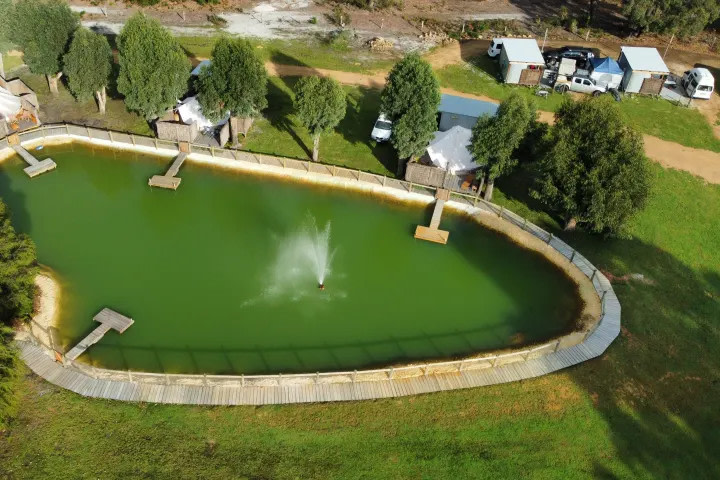 Stargazers Forest Hideaway