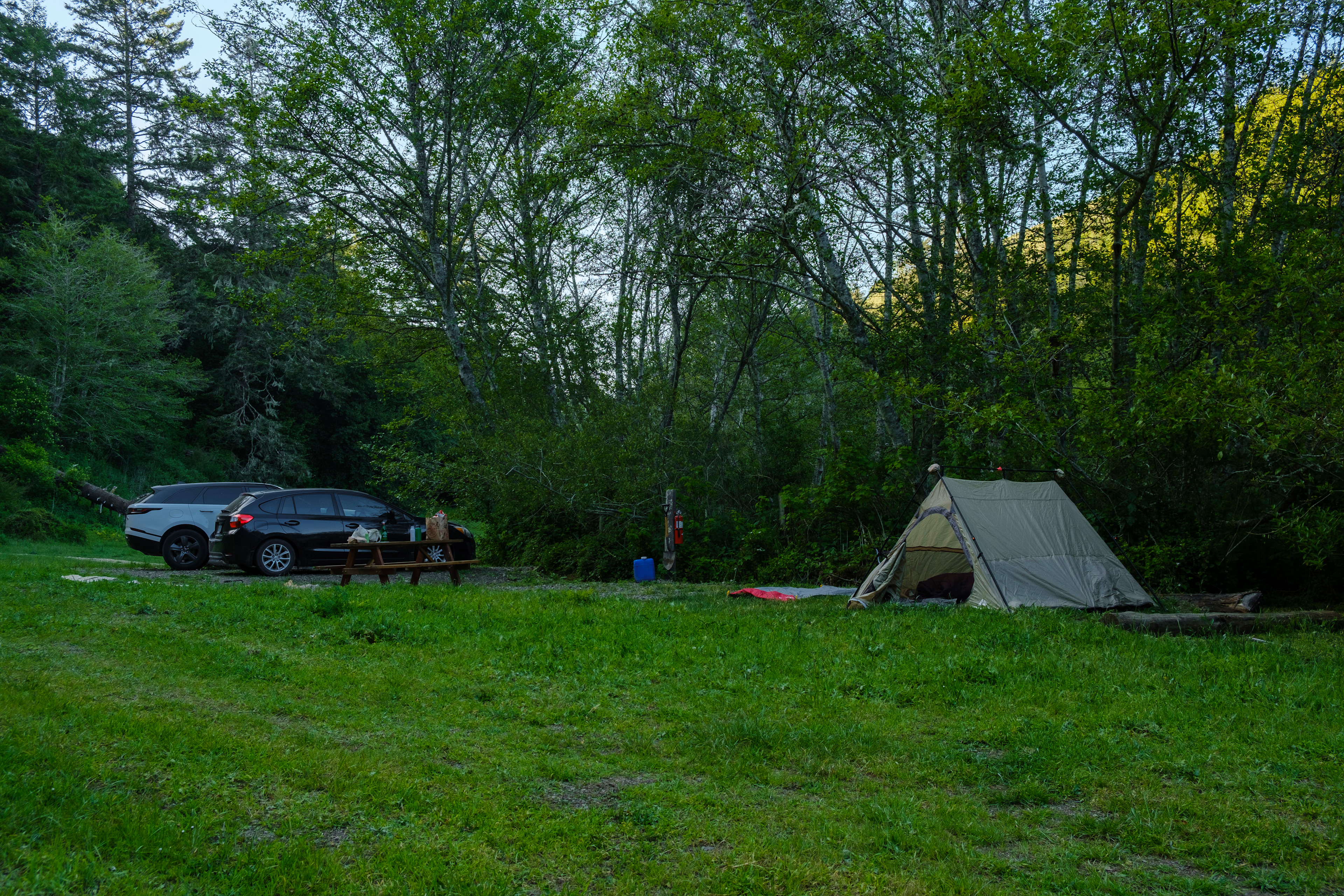 Space for several tents or a recreational vehile