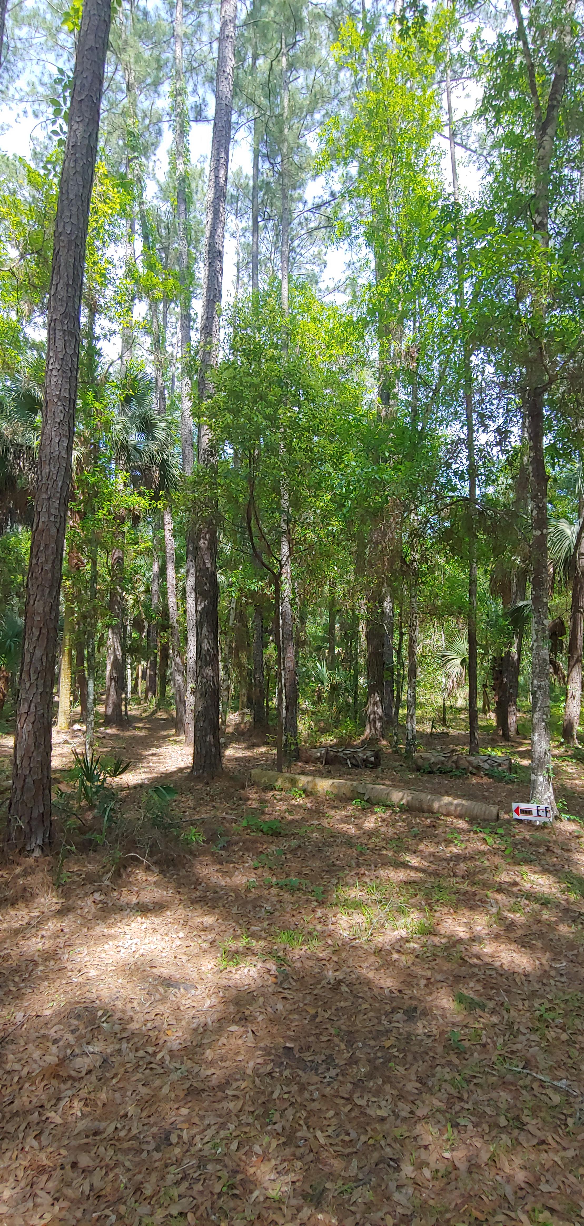 HandS Homestead Hipcamp