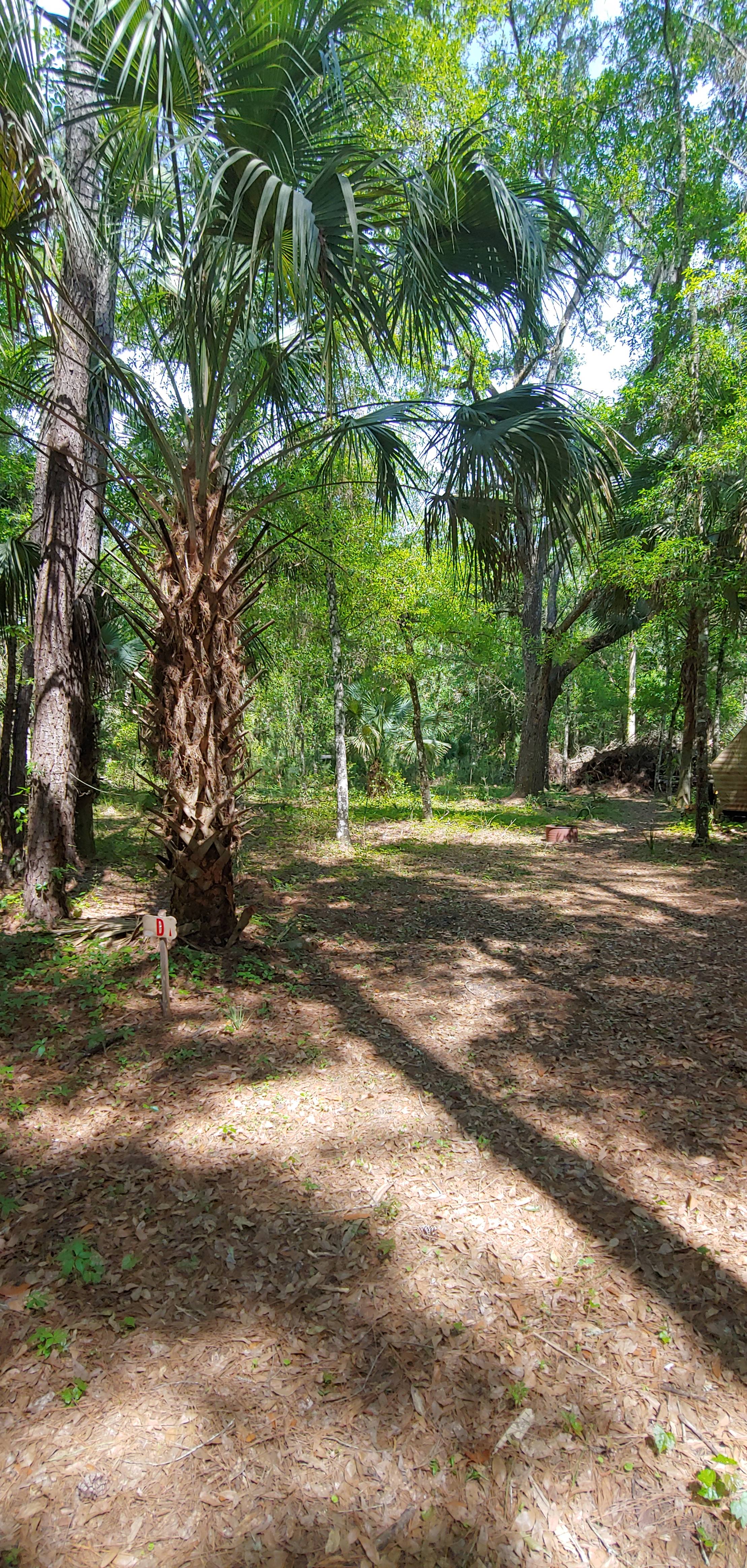 HandS Homestead Hipcamp
