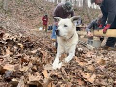 2nd40 to 420 - The Farm