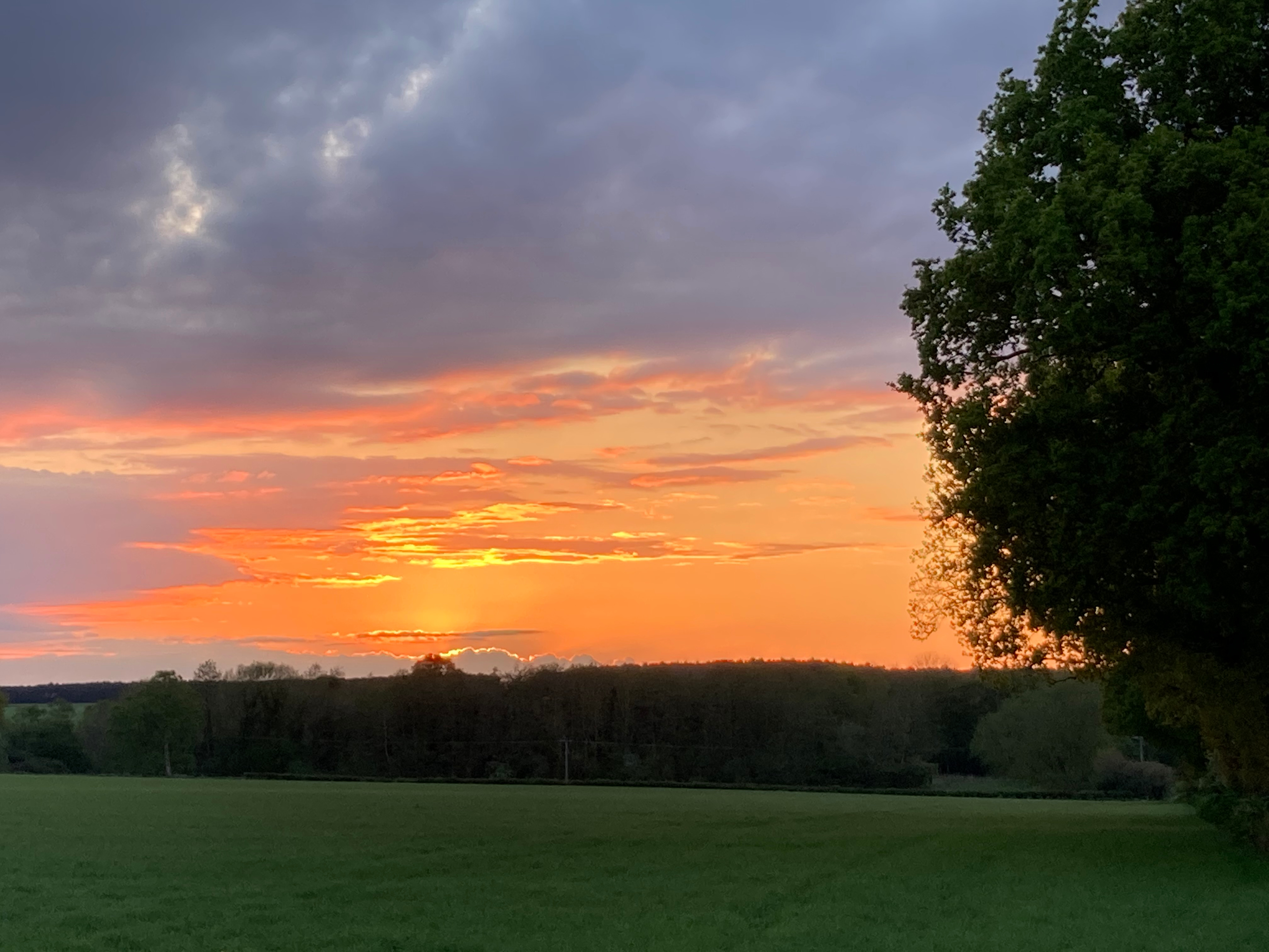 Hillside Farm Camping