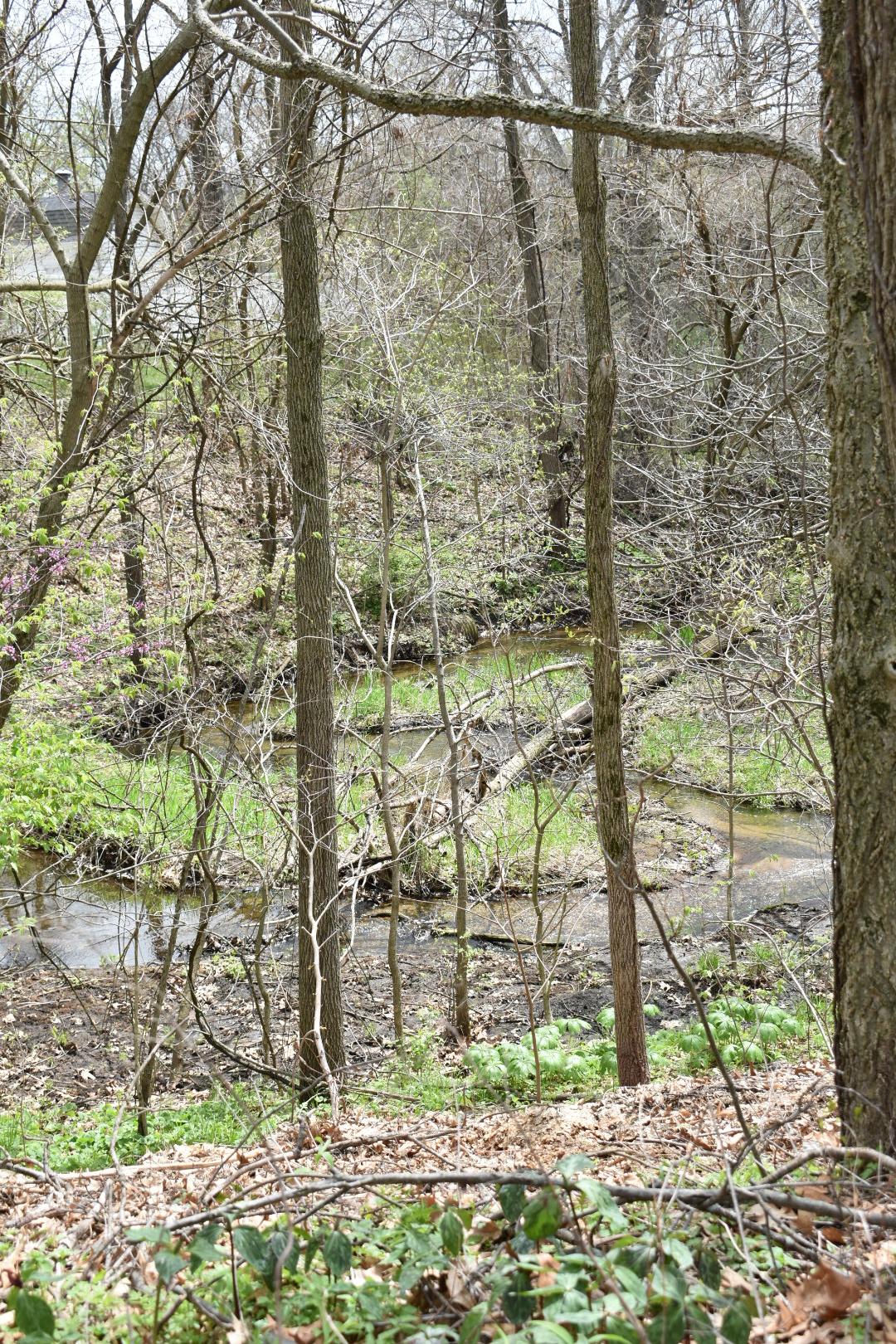 Listen to the relaxing sound of this babbling brook right from your campsite. 