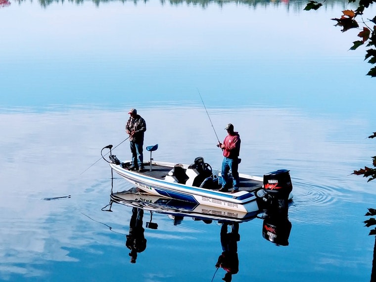 Tiny House, Horse Trailer, S Tent