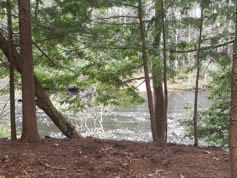 Waterfront Woodsy Glamping