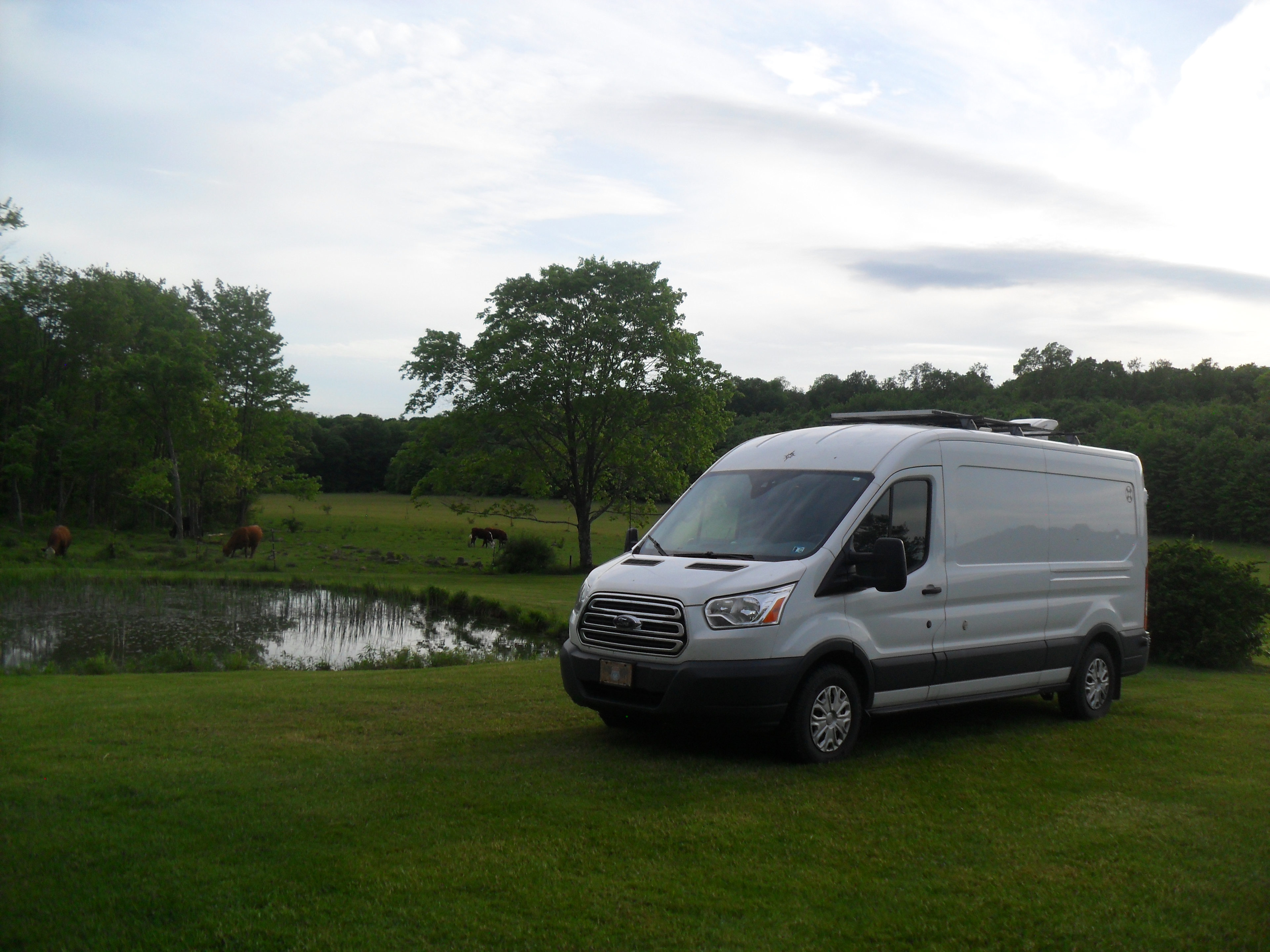 814-673-8460 Hog Wild Farm