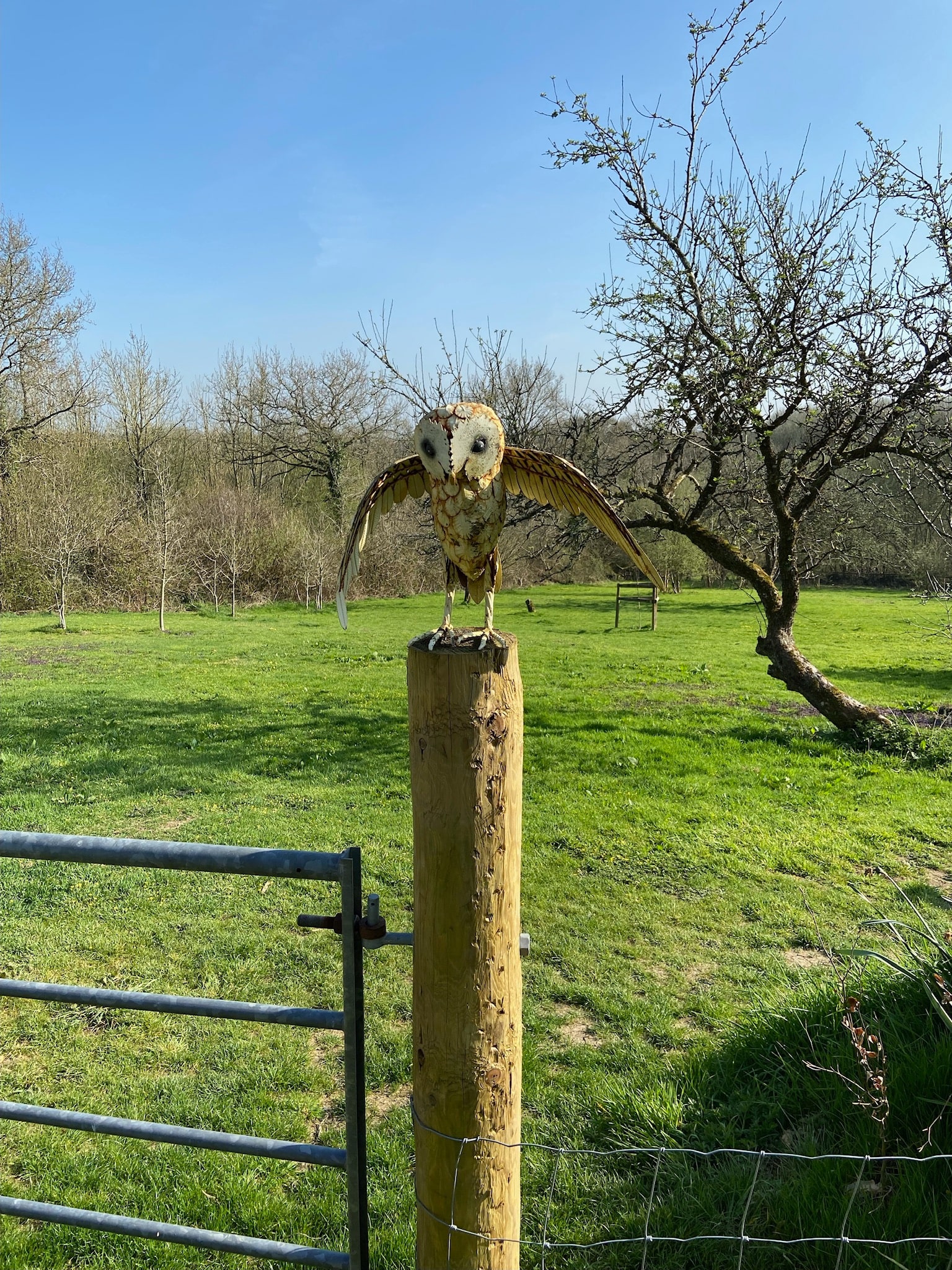 The orchard