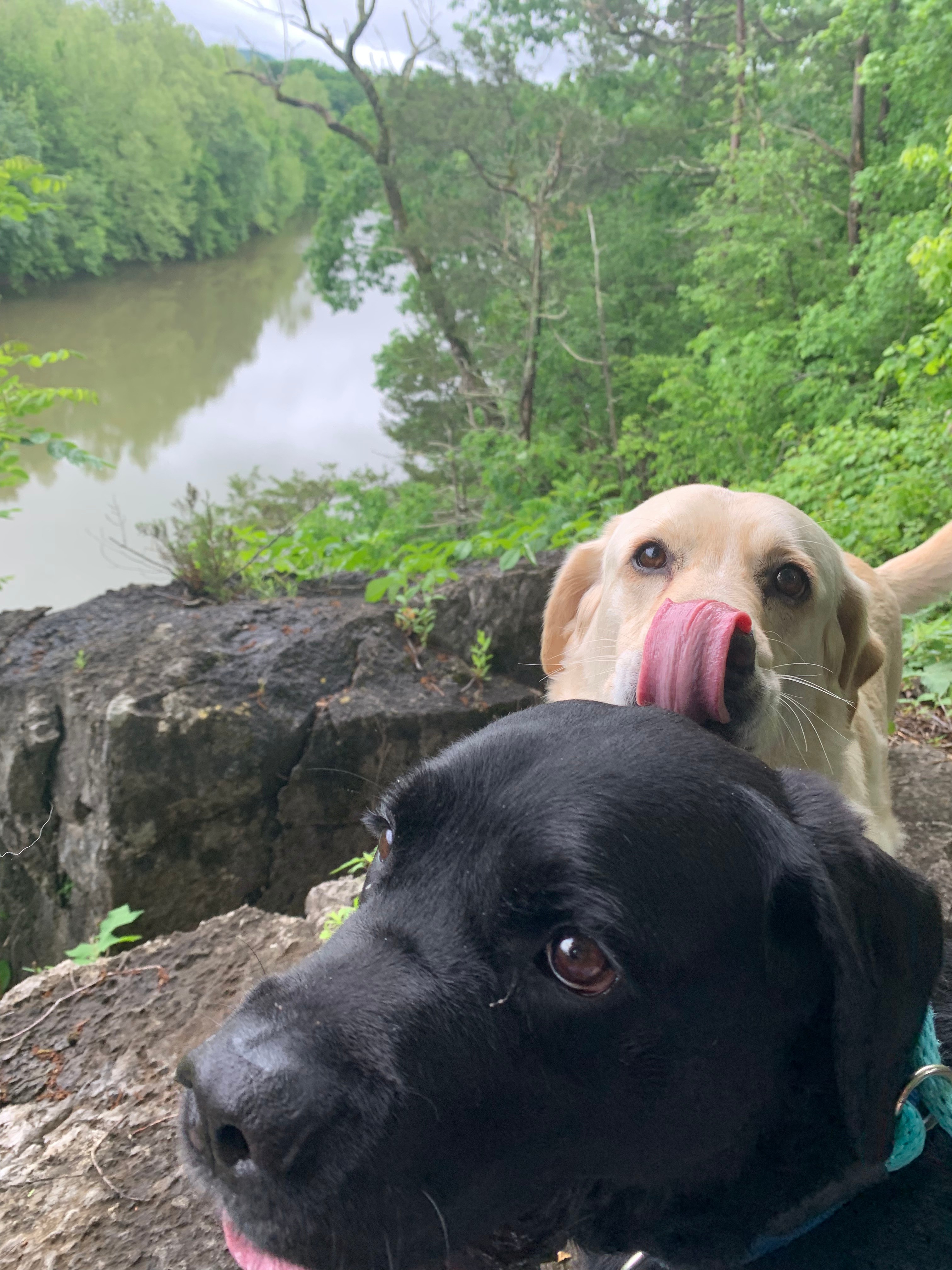 Nolichuckey Bluffs Cozy Campsites