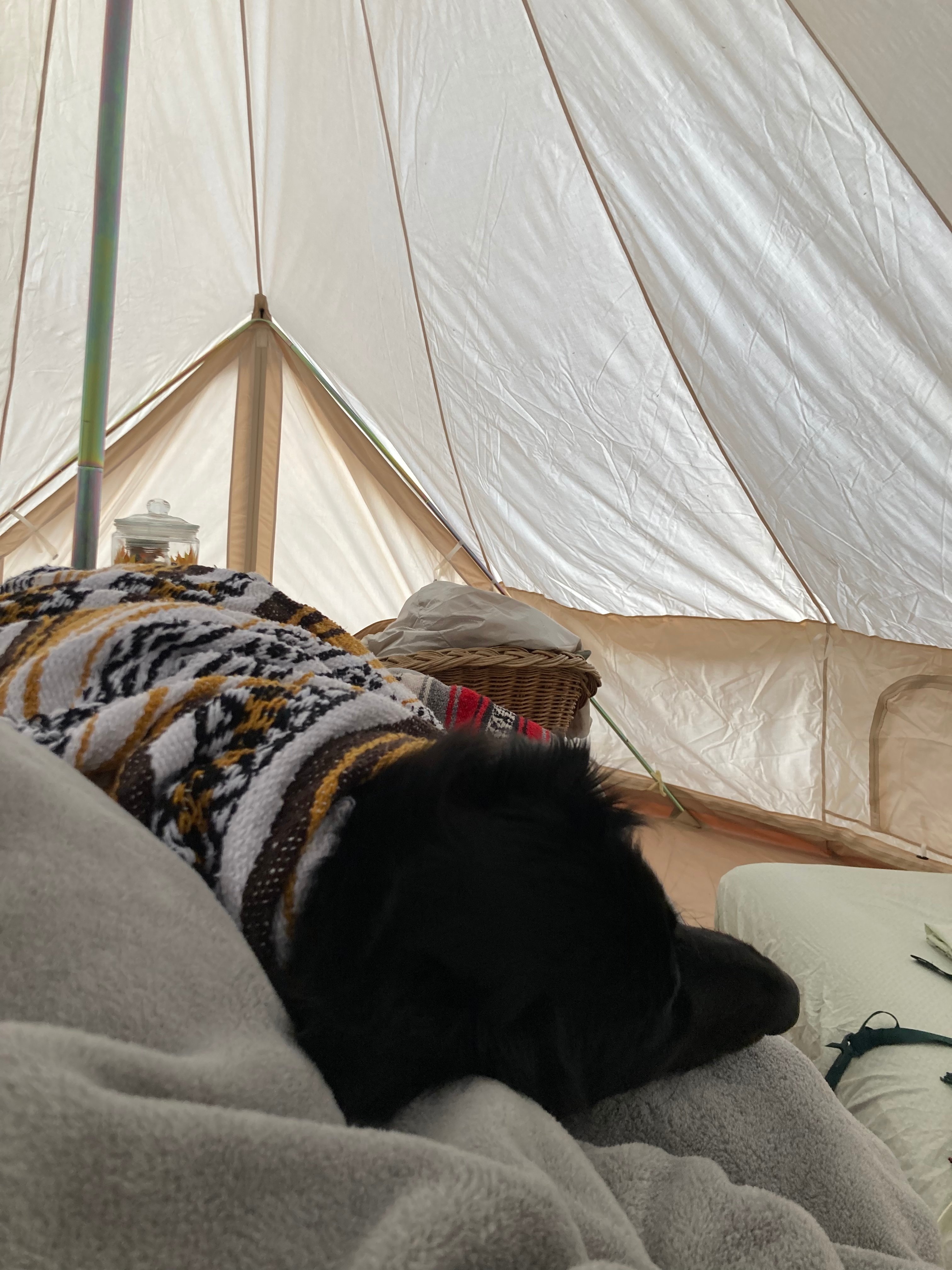 Sunflower Ranch Camping