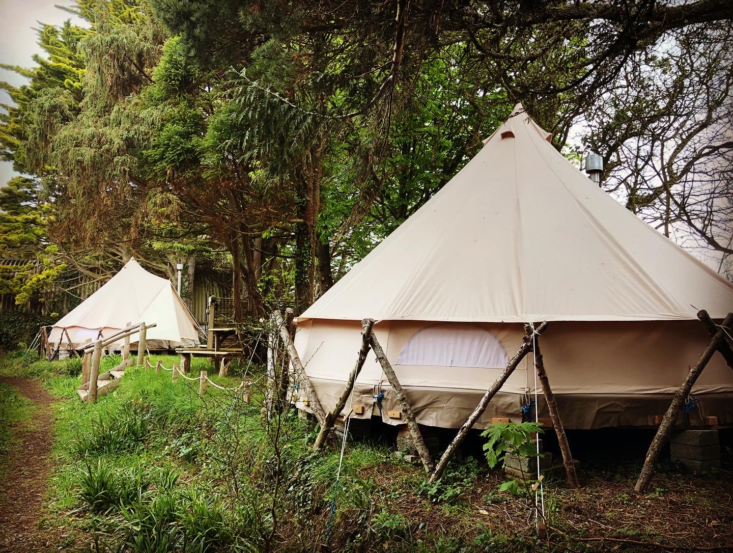 Cynefin Permaculture Farm