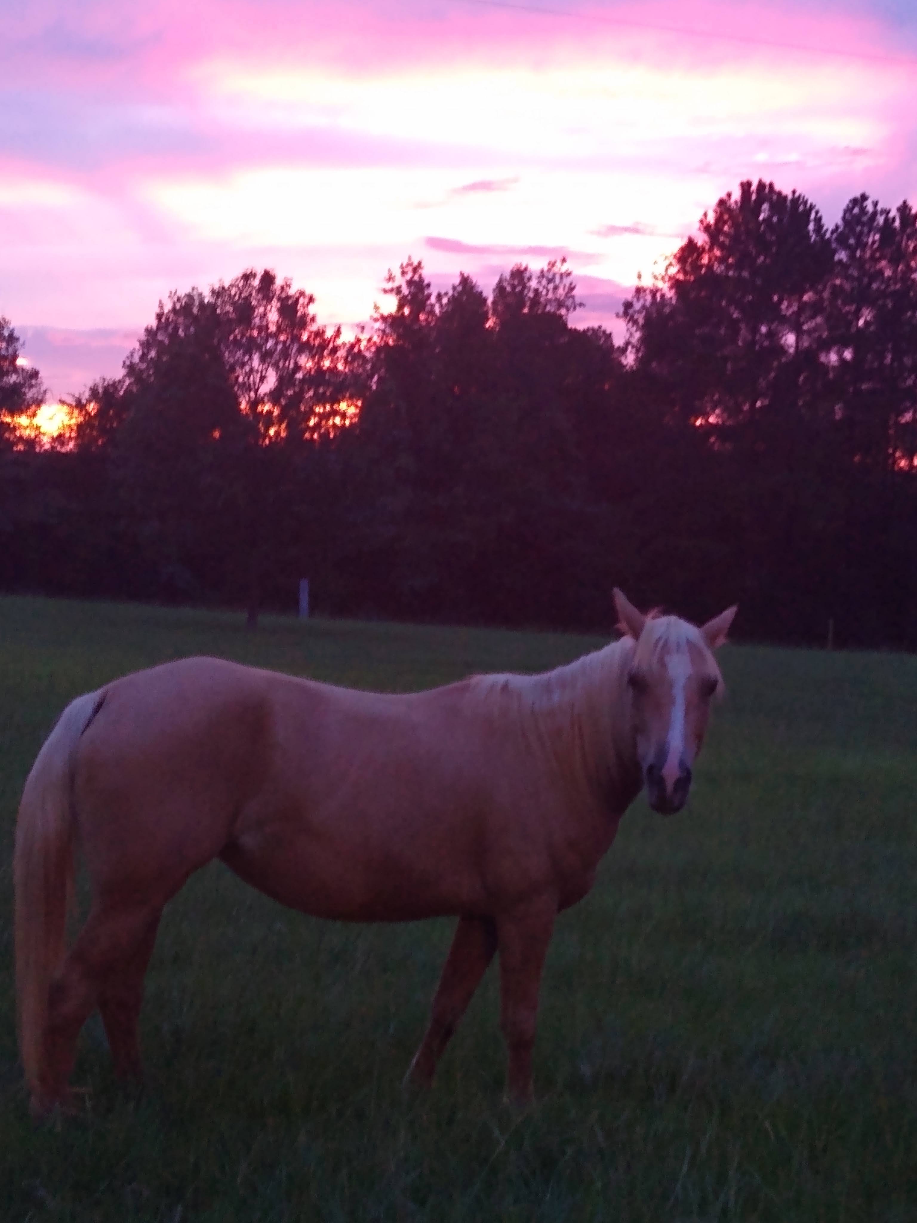 Rockwood Farm