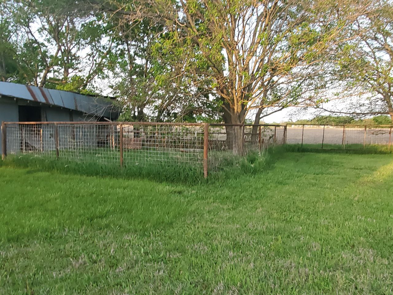 Plenty of soft, flat areas to pitch a tent