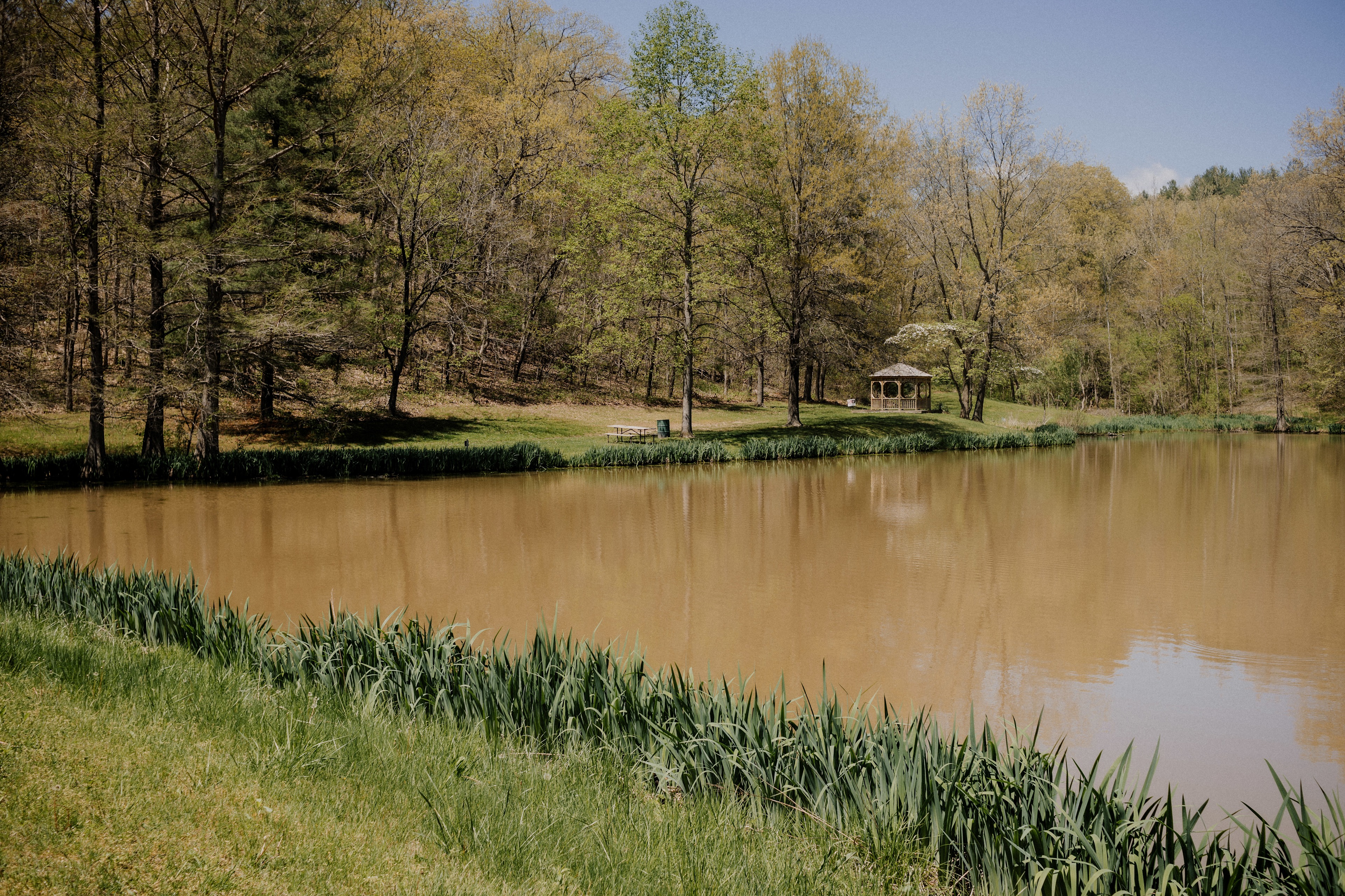 Fishing pond near the pond campsite. 