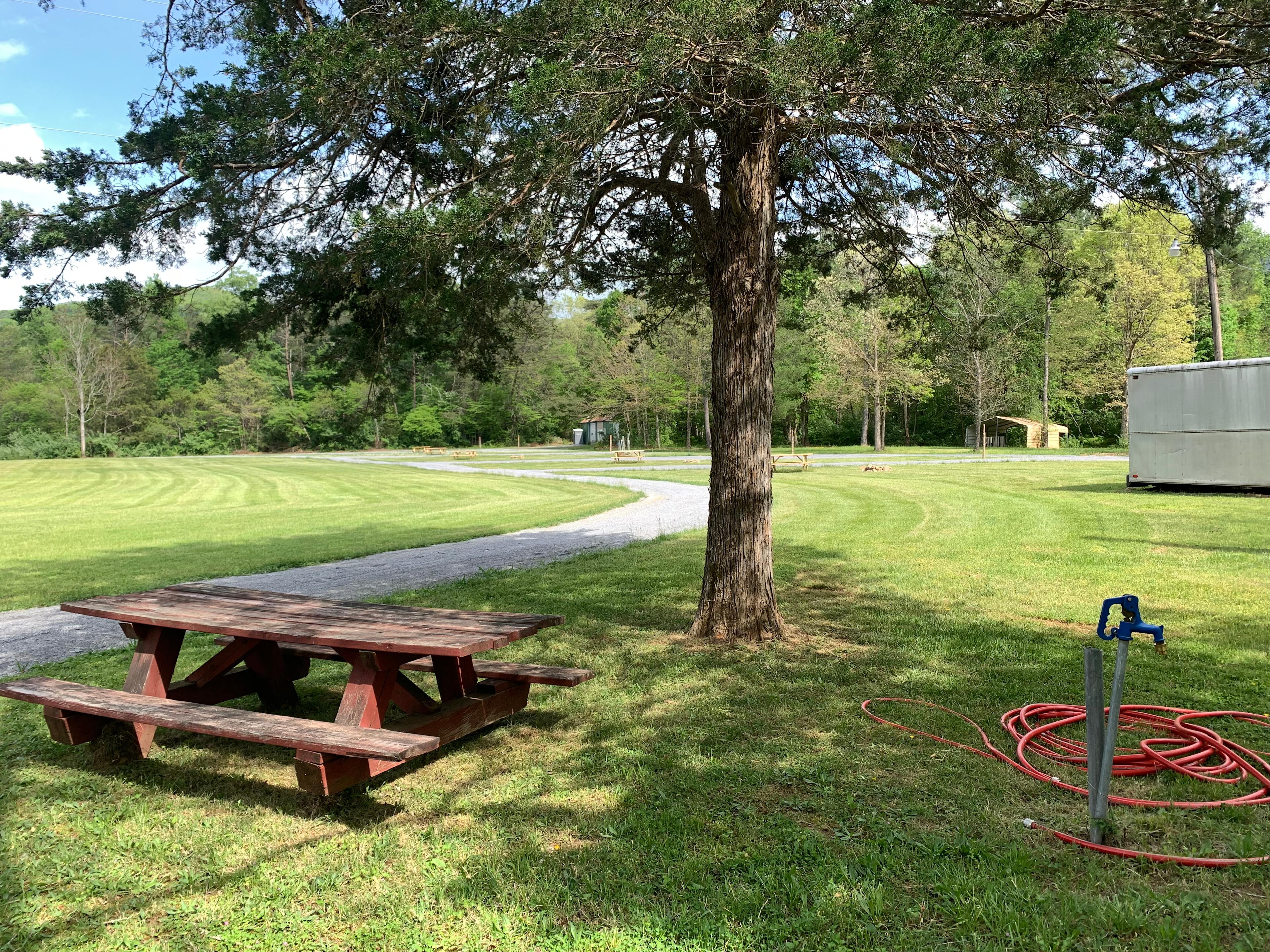 Site 1 is our only RV site with 30/50 amp hookup and water available. It has a shaded, large lot. 