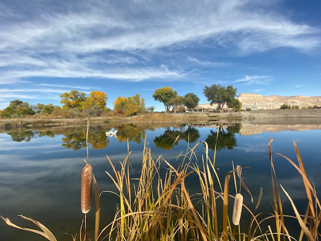 Colorado River Animal Sanctuary