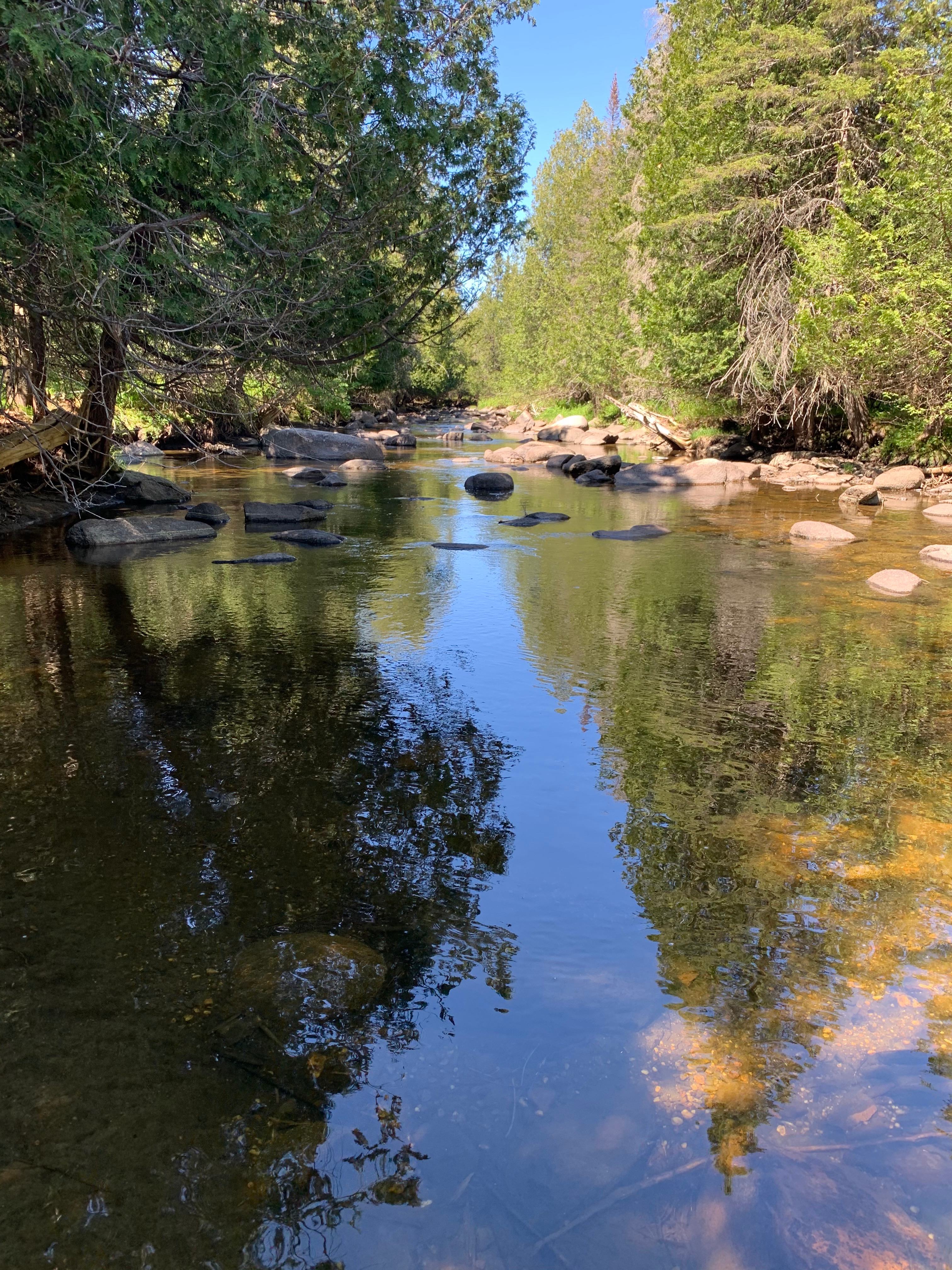 Private River Sunset Camping