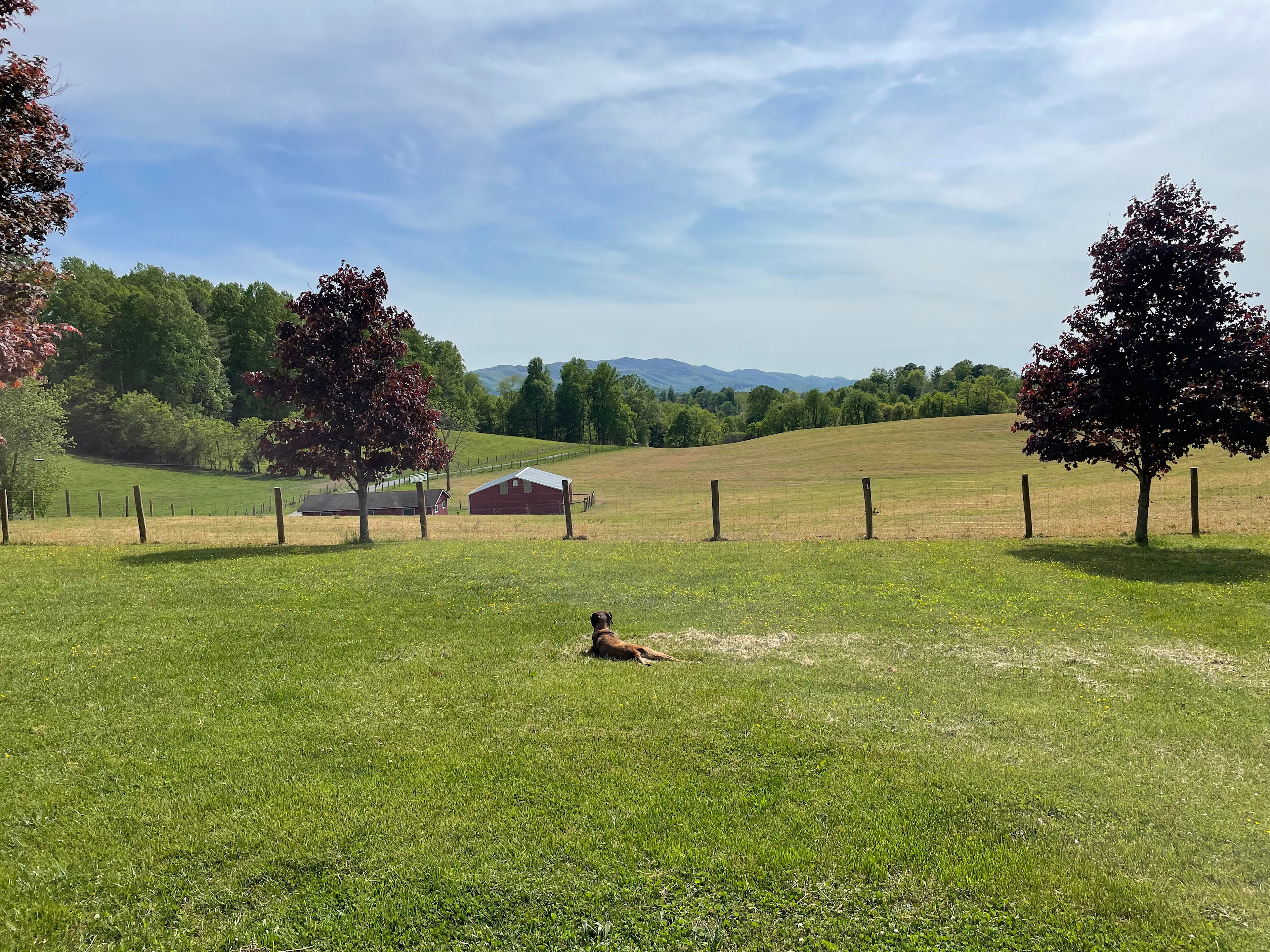 Secluded Farm Camp near Damascus VA