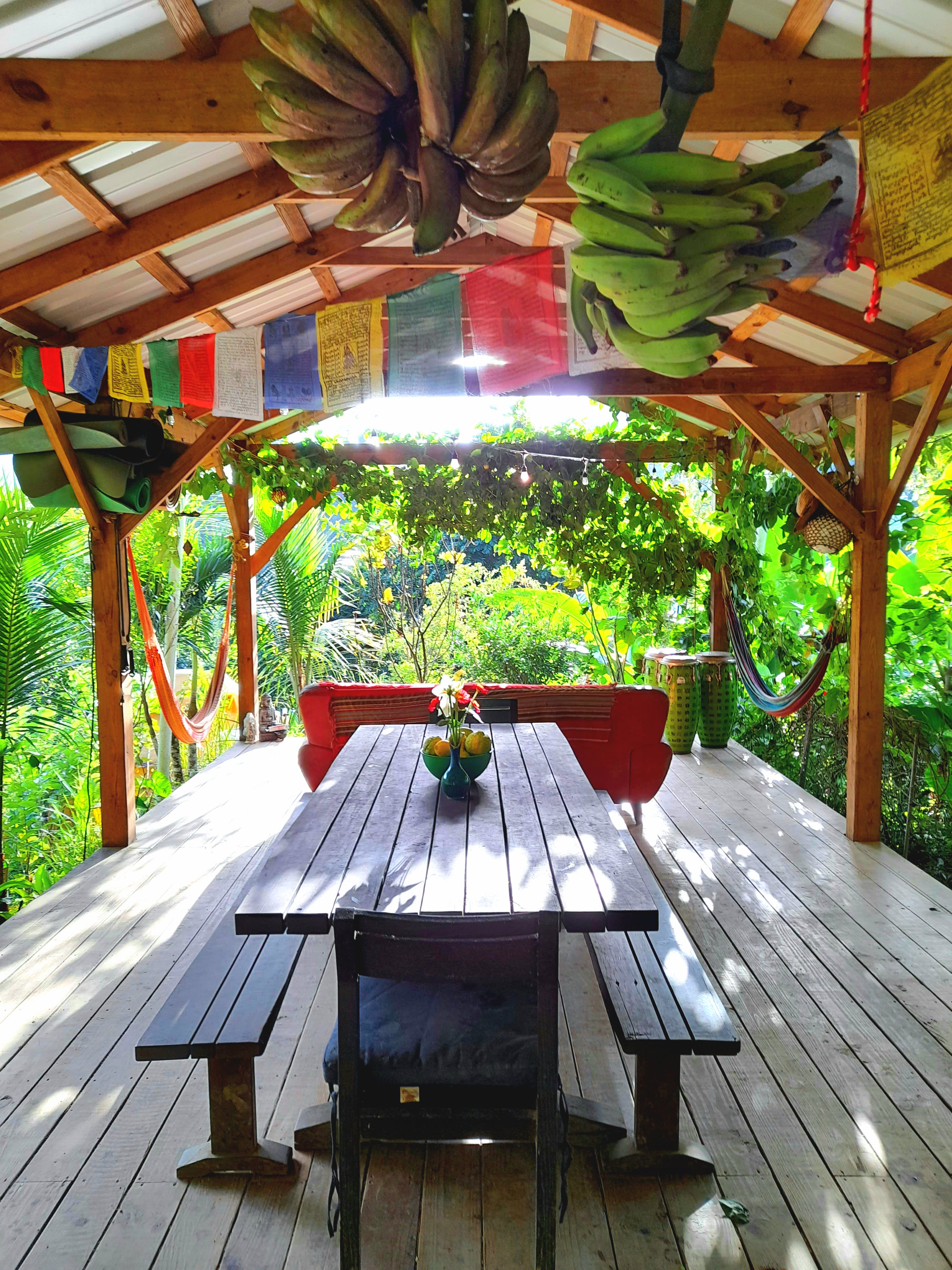 Finca Remedio Permaculture Farm