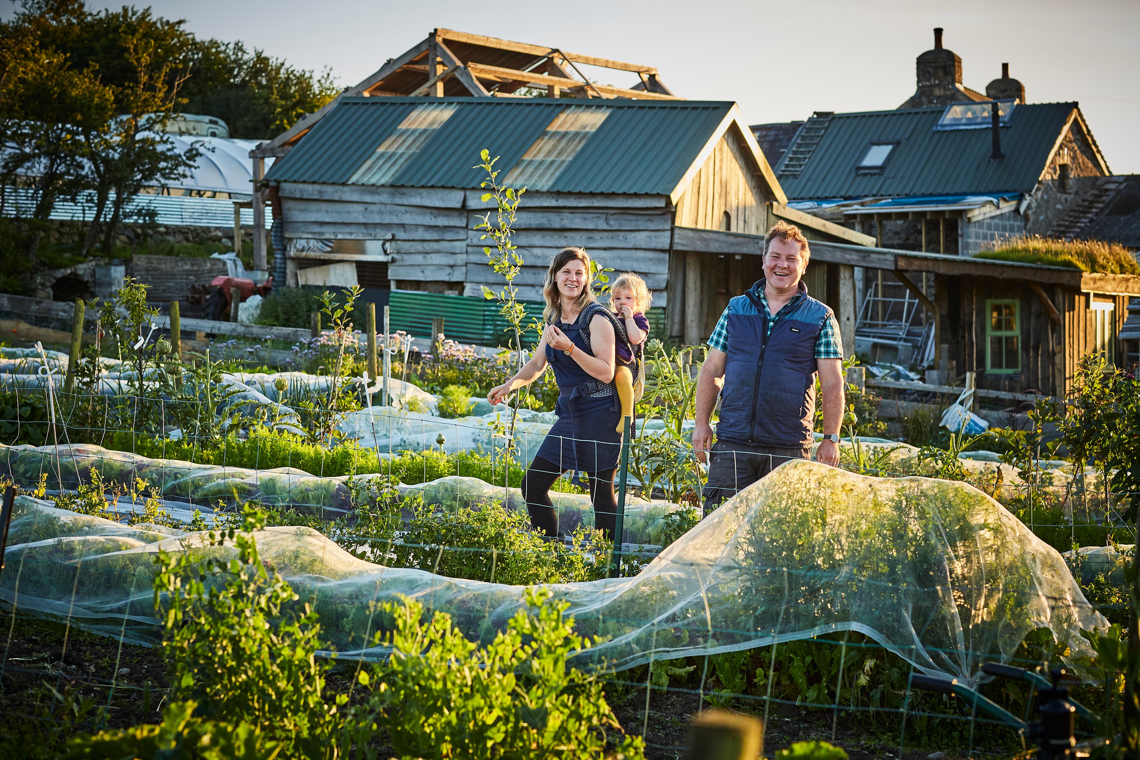 Henbant Permaculture Farm + Camp