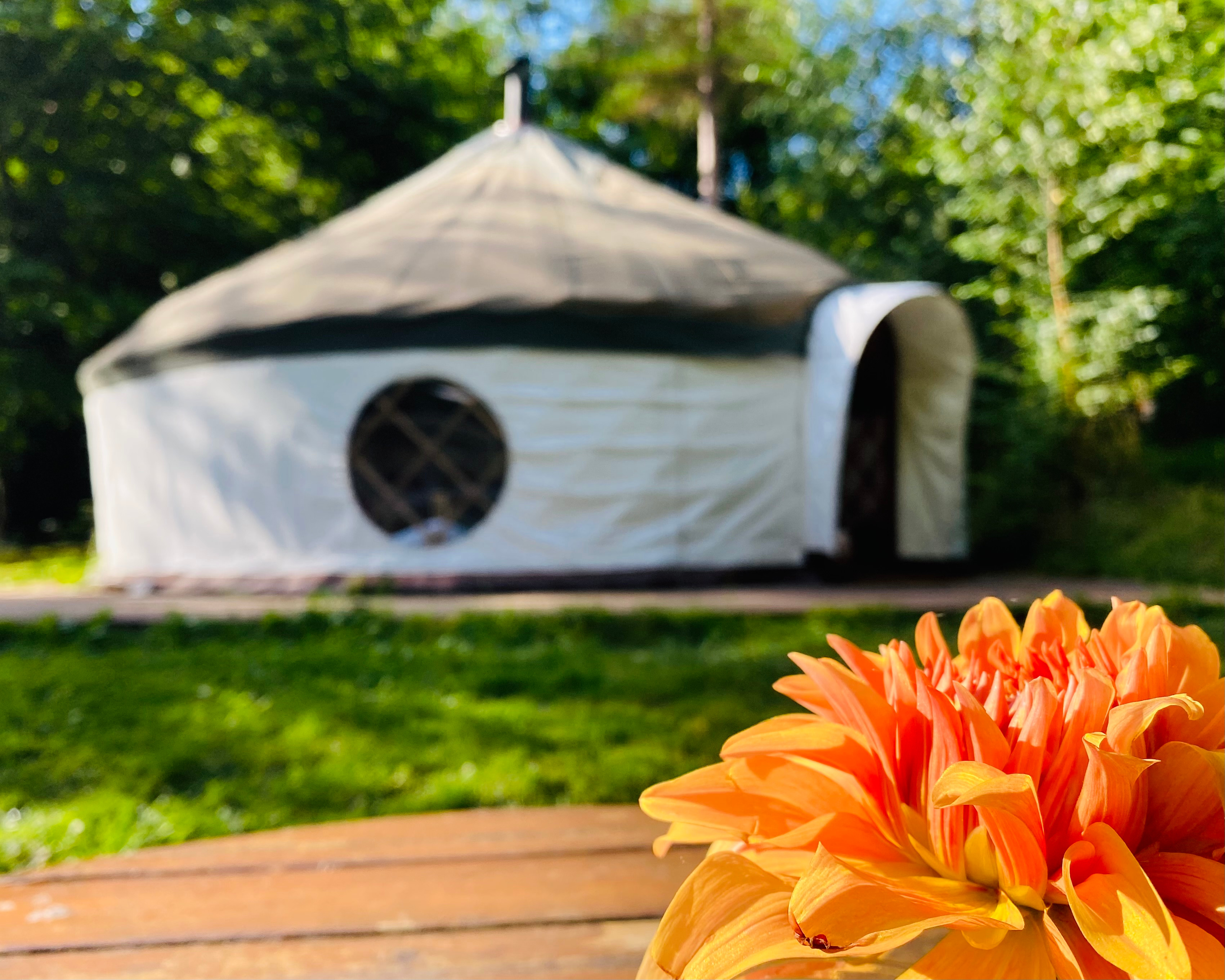 Woodland Tipi & Yurt Holidays
