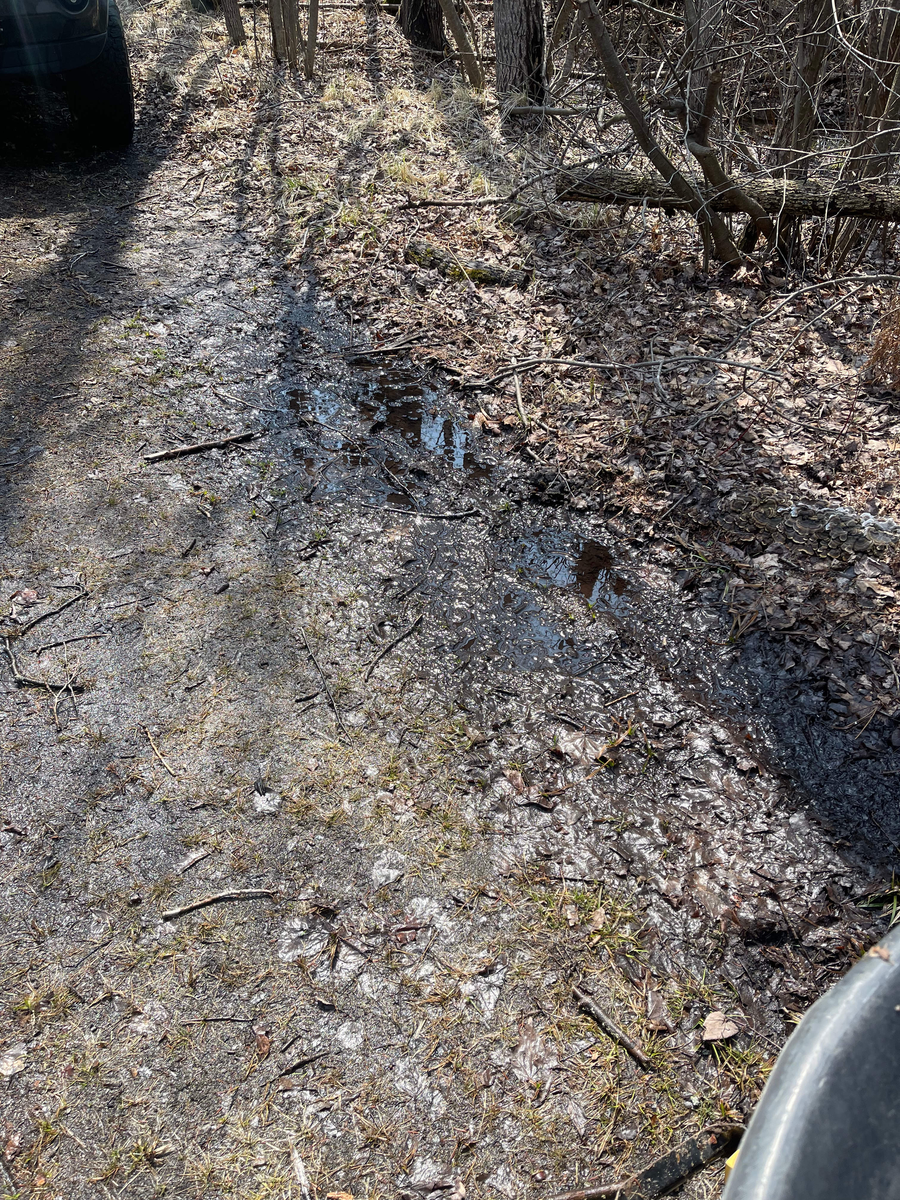 In The Woods With No One Around.